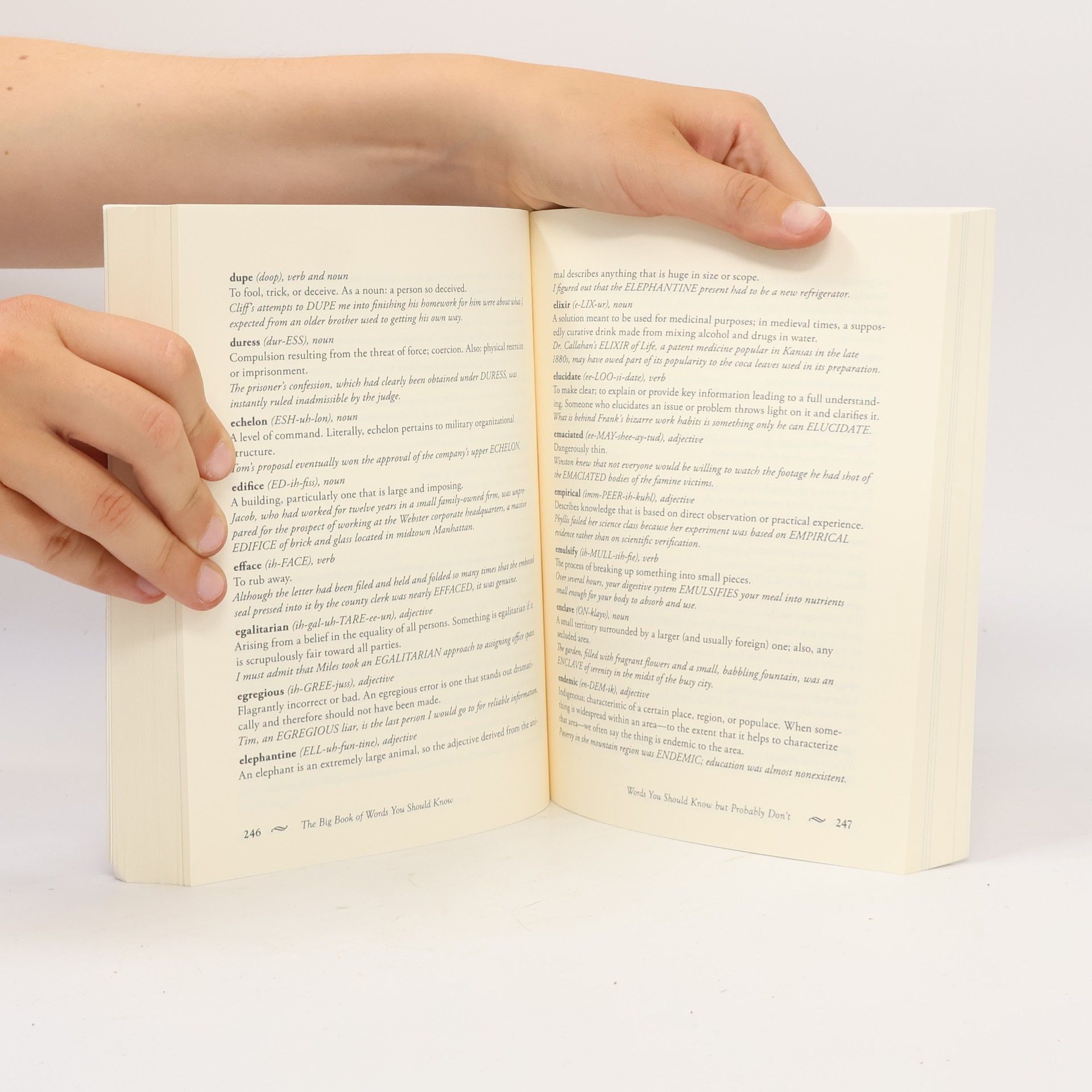 David Olsen The Big Book of Words You Should Know