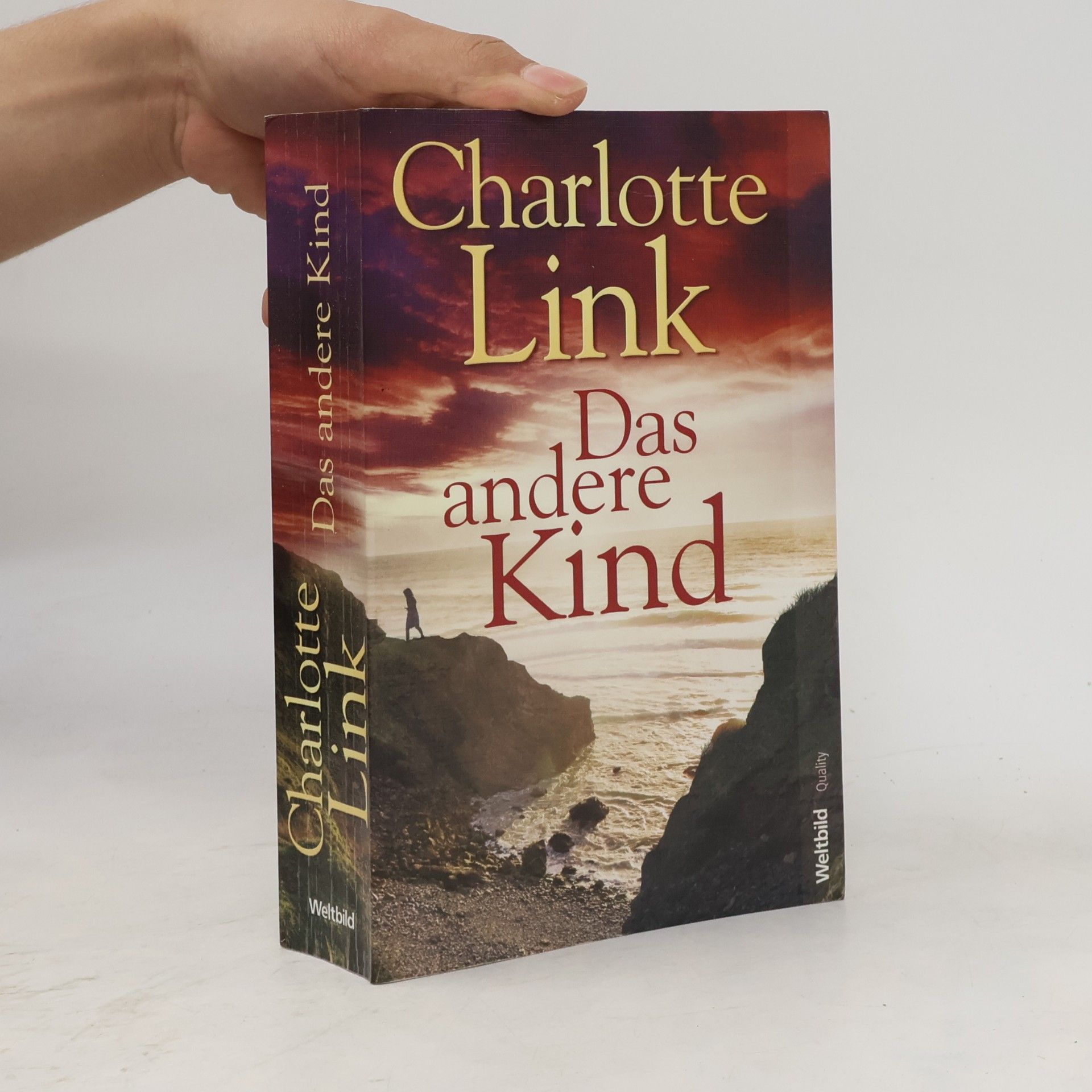 Charlotte Link Das andere Kind