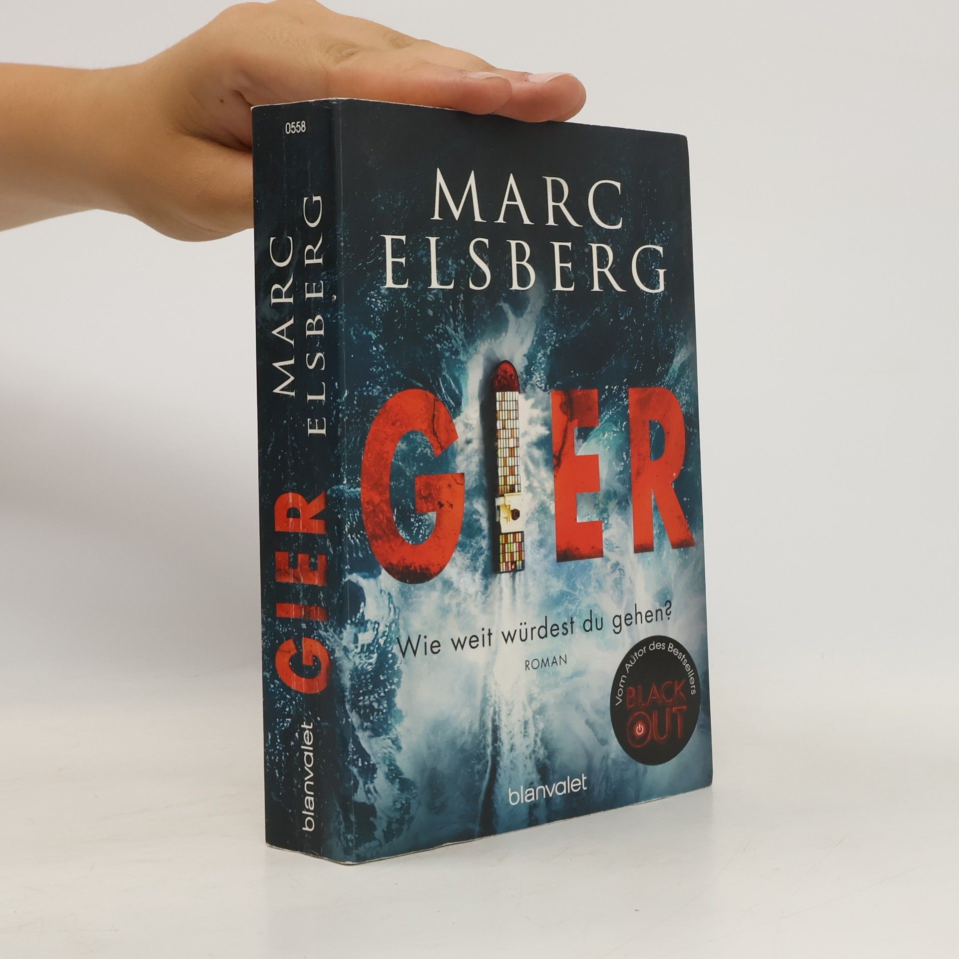 Marc Elsberg Gier