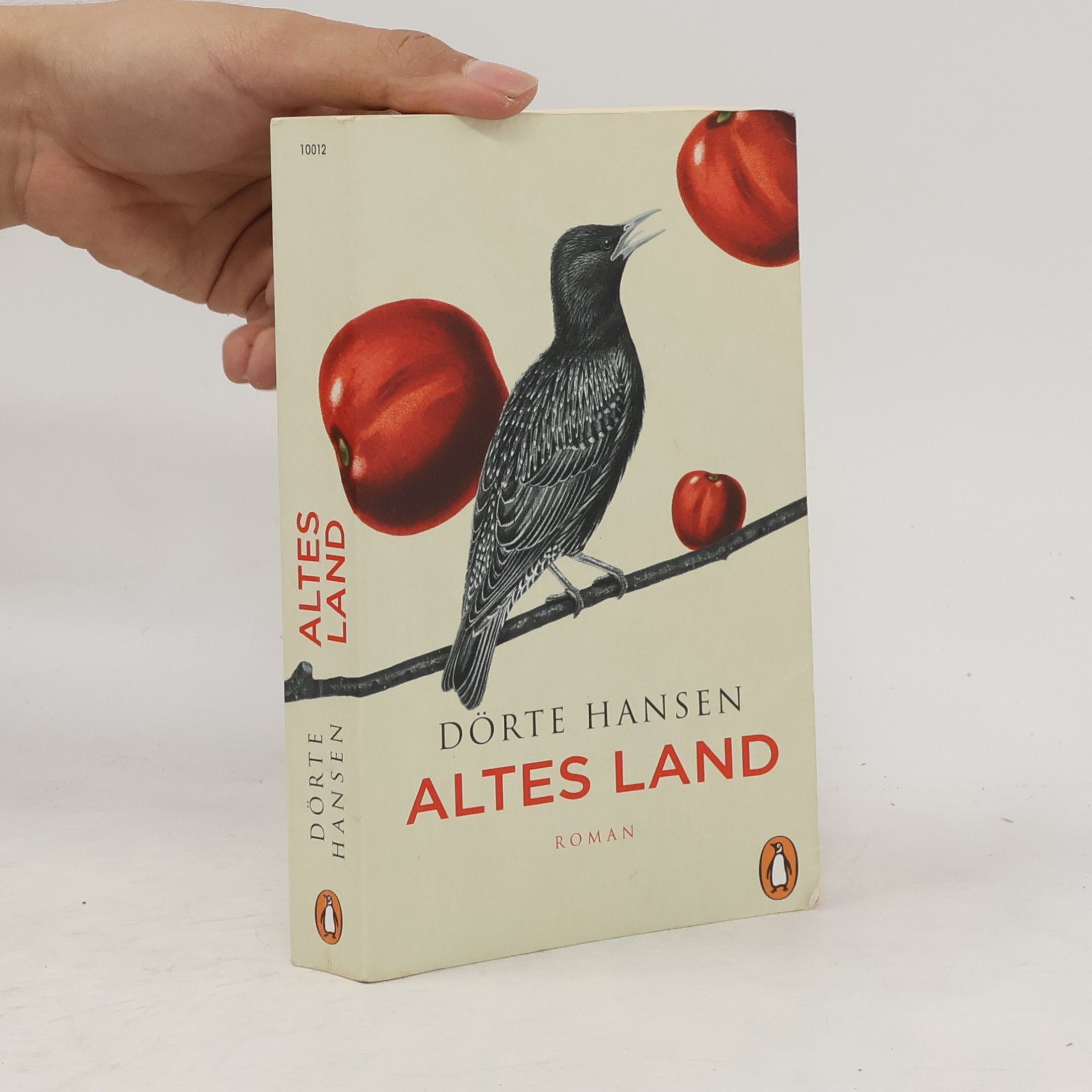 Dörte Hansen Altes Land
