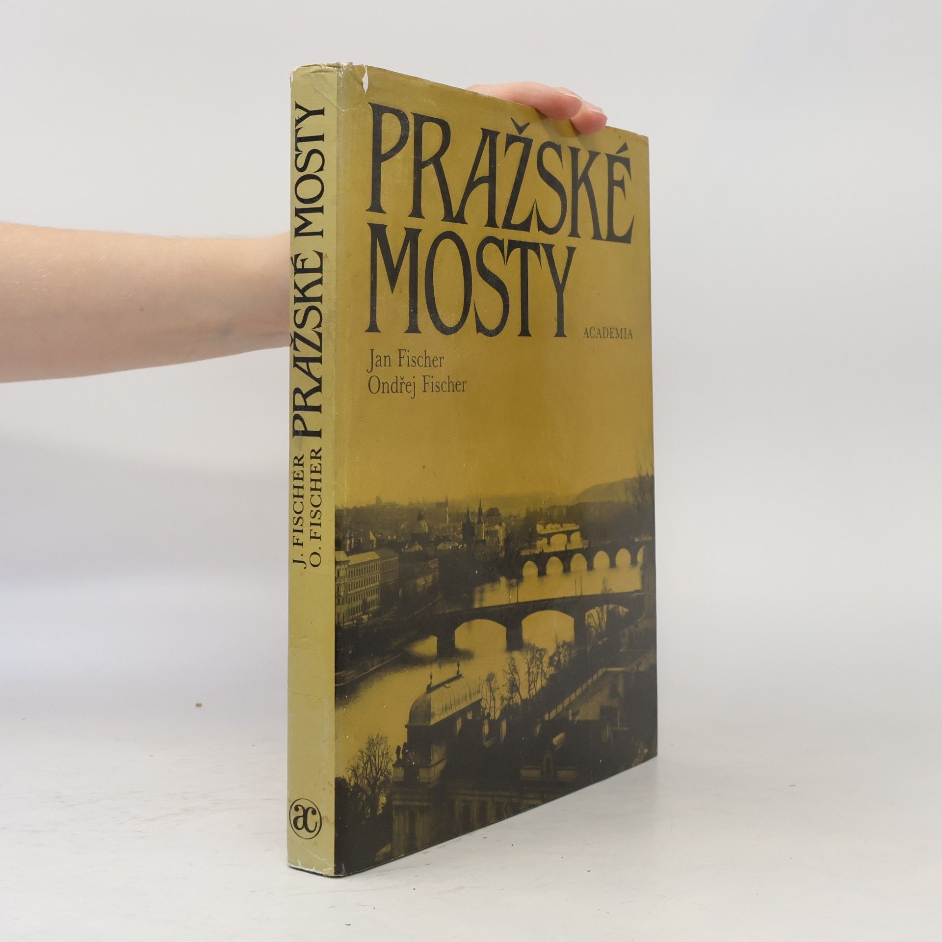 Ondřej Fischer Pražské mosty