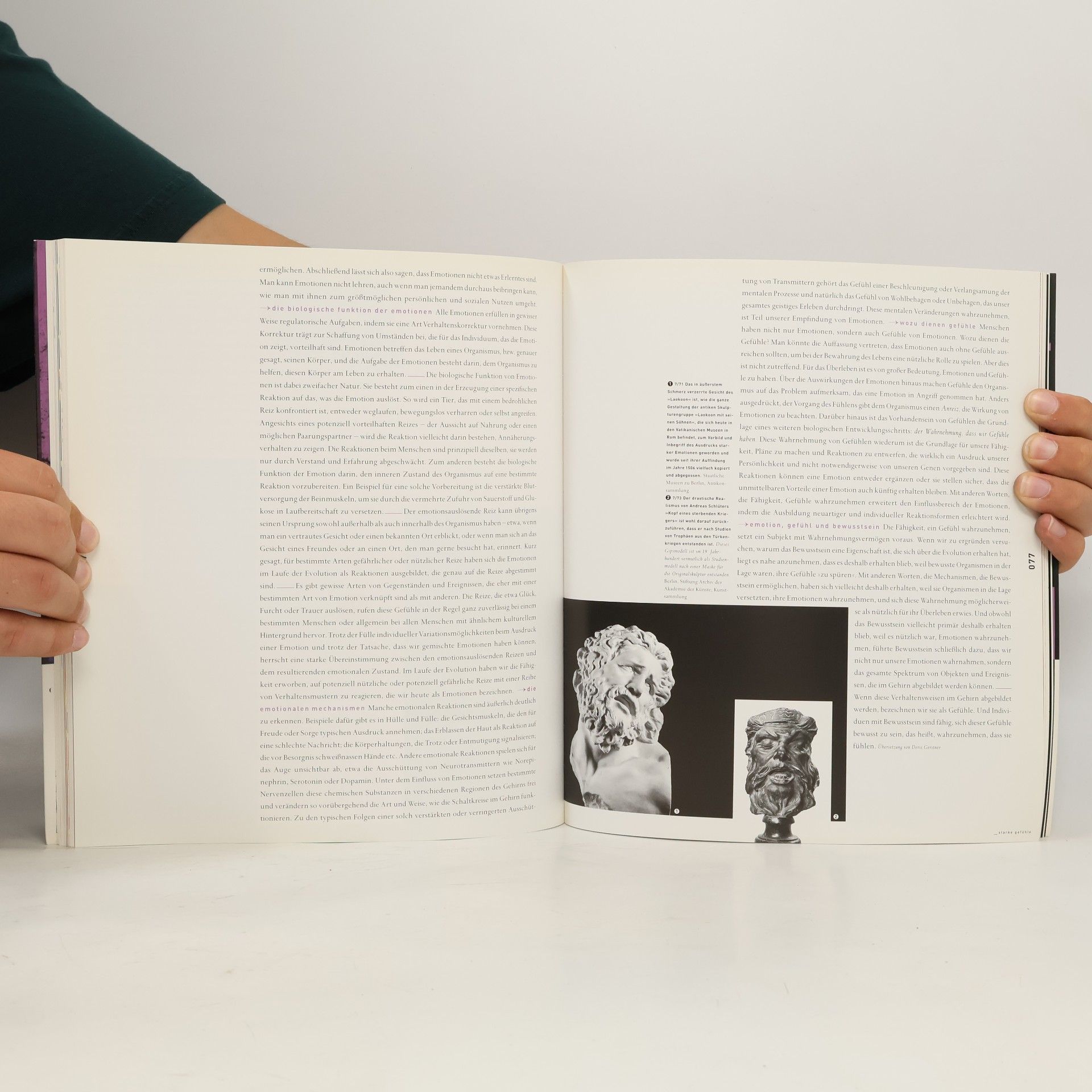 Autorenkollektiv 7 Hügel, Bilder und Zeichen des 21. Jahrhundert. Bd. 7. Träumen: Sinne, Spiele, Leidenschaften: Über die subjektive Seite der Vernunft