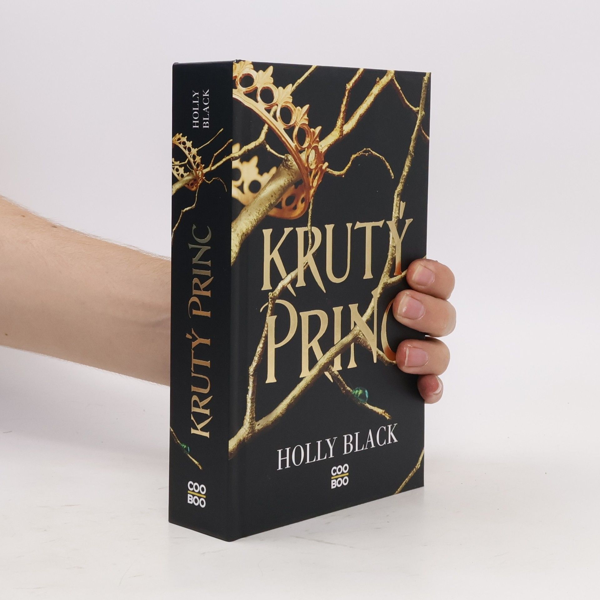 Holly Black Krutý princ
