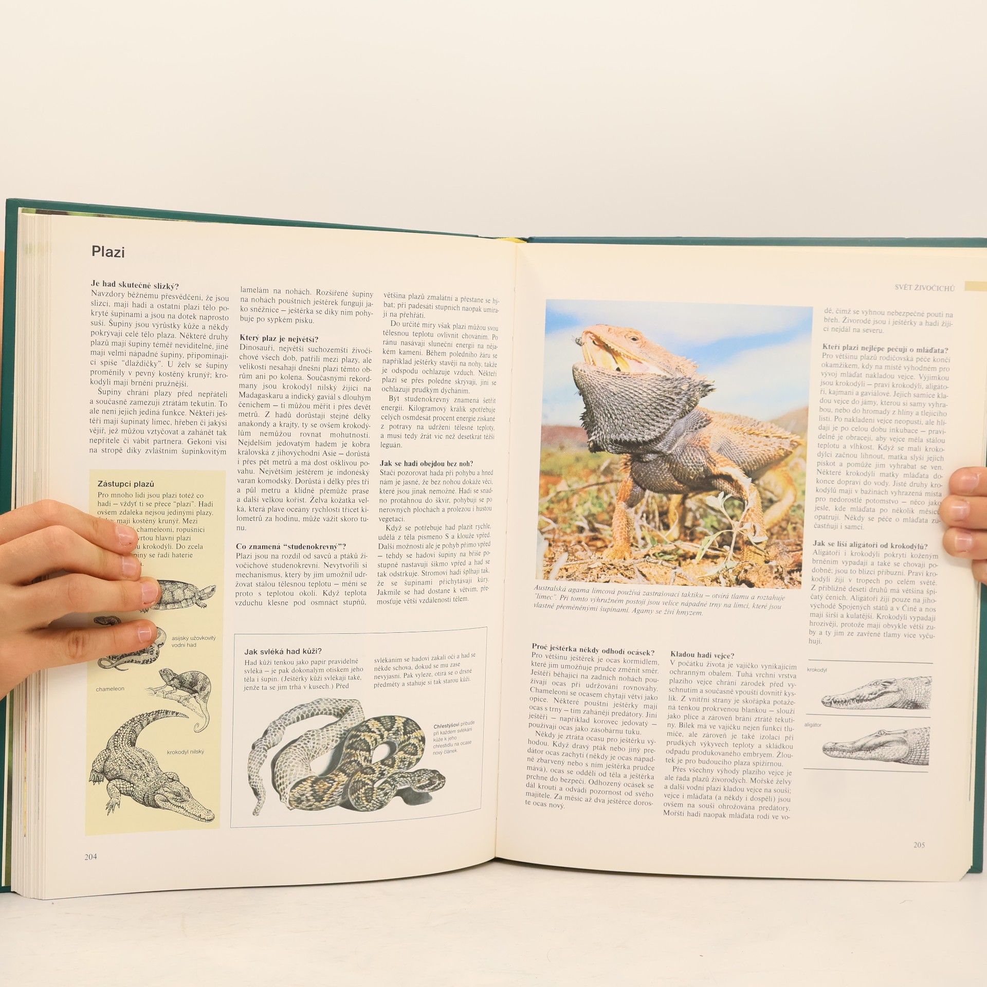 Stanislav Spanilý ABC přírody. Svět v otázkách a odpovědích