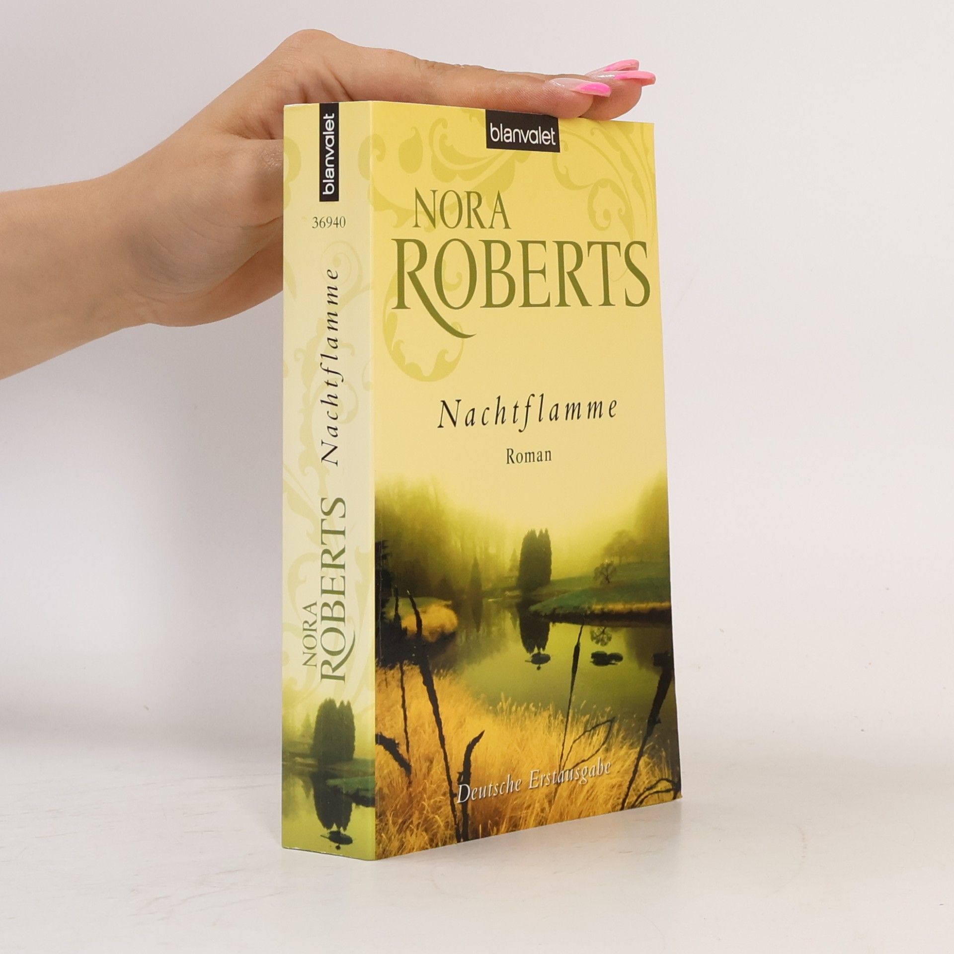 Nora Roberts Nachtflamme
