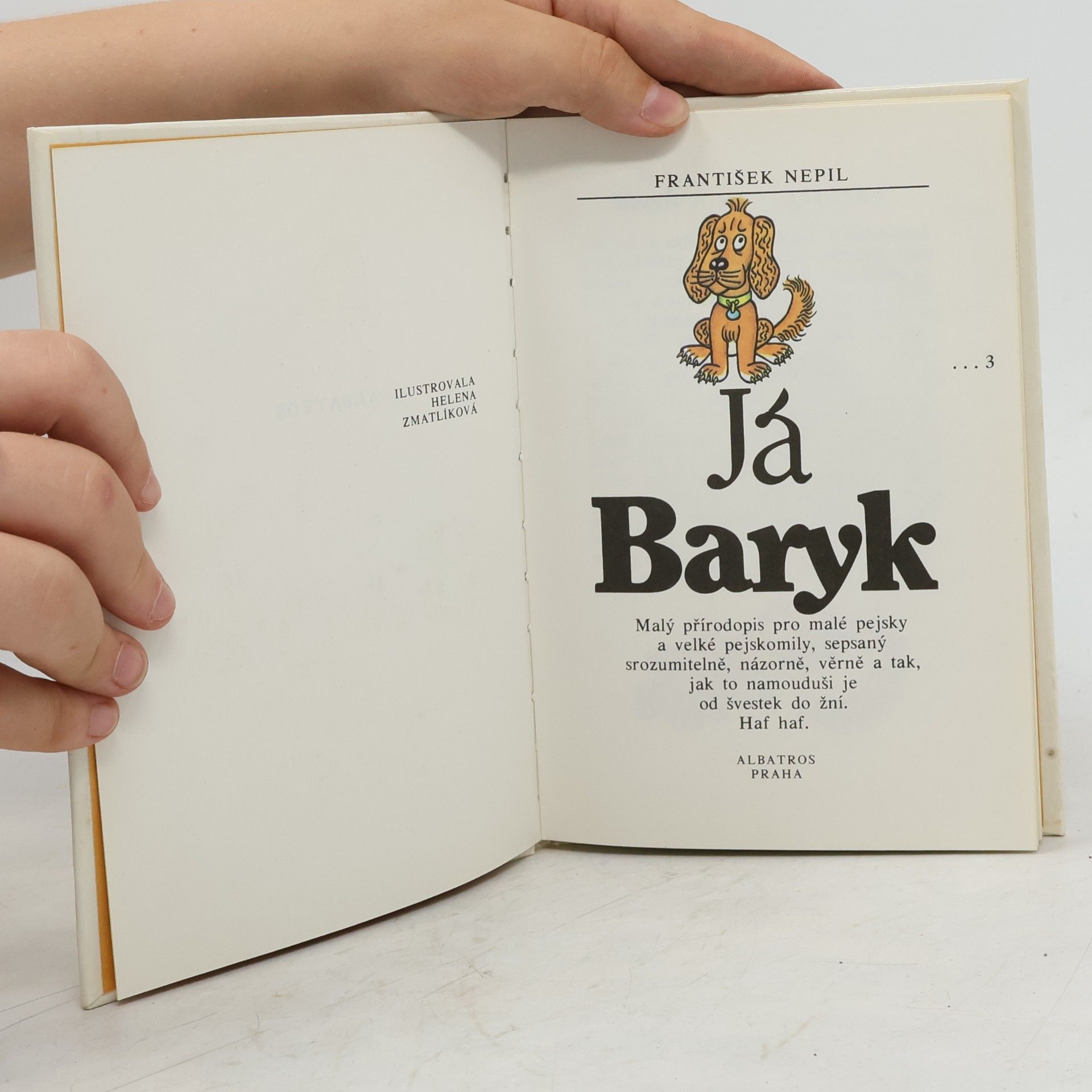 František Nepil Já, Baryk