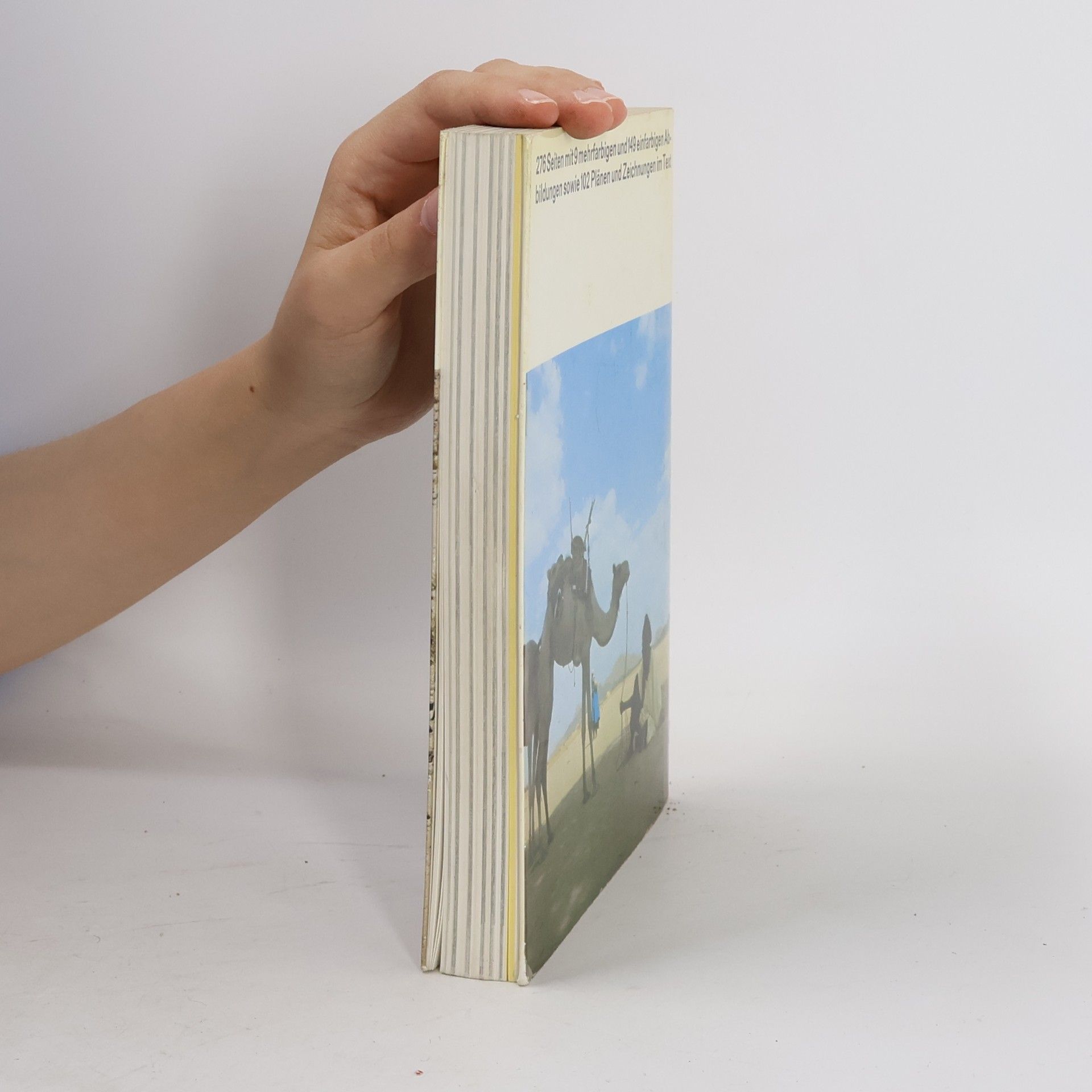 Hans Strelocke Algerien Kunst, Kultur und Landschaft