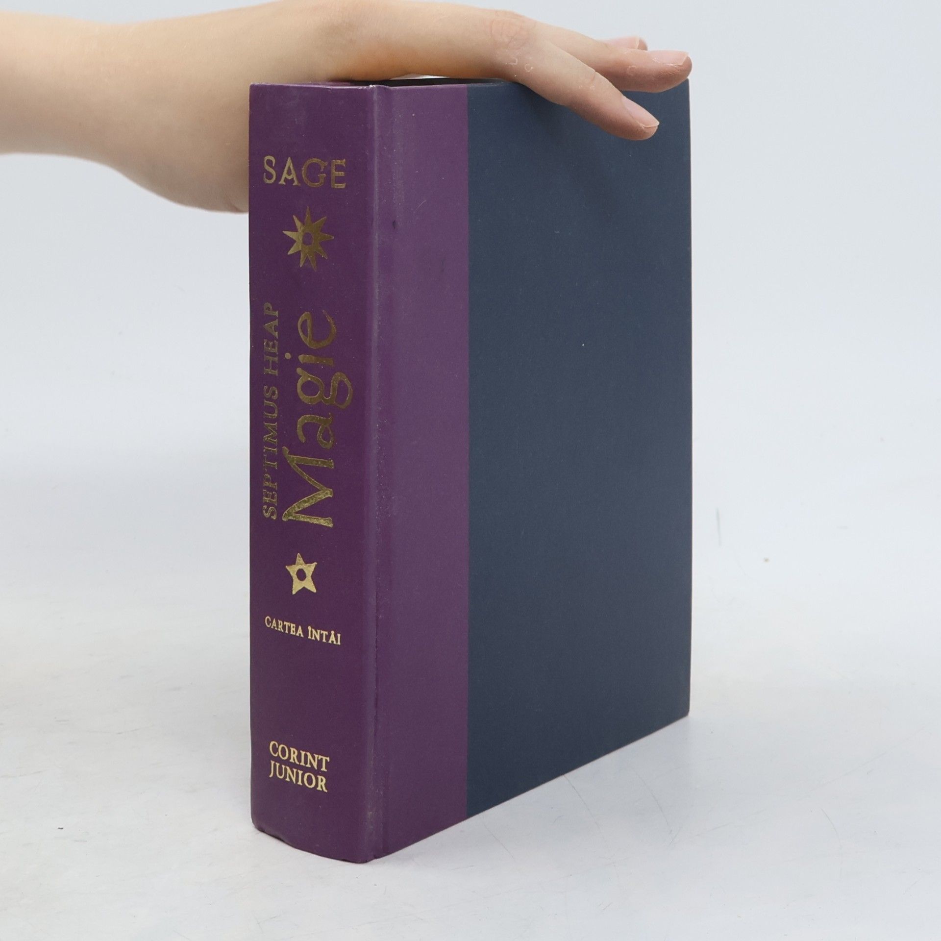 Irina Bojin Septimus Heap - 1: Magie