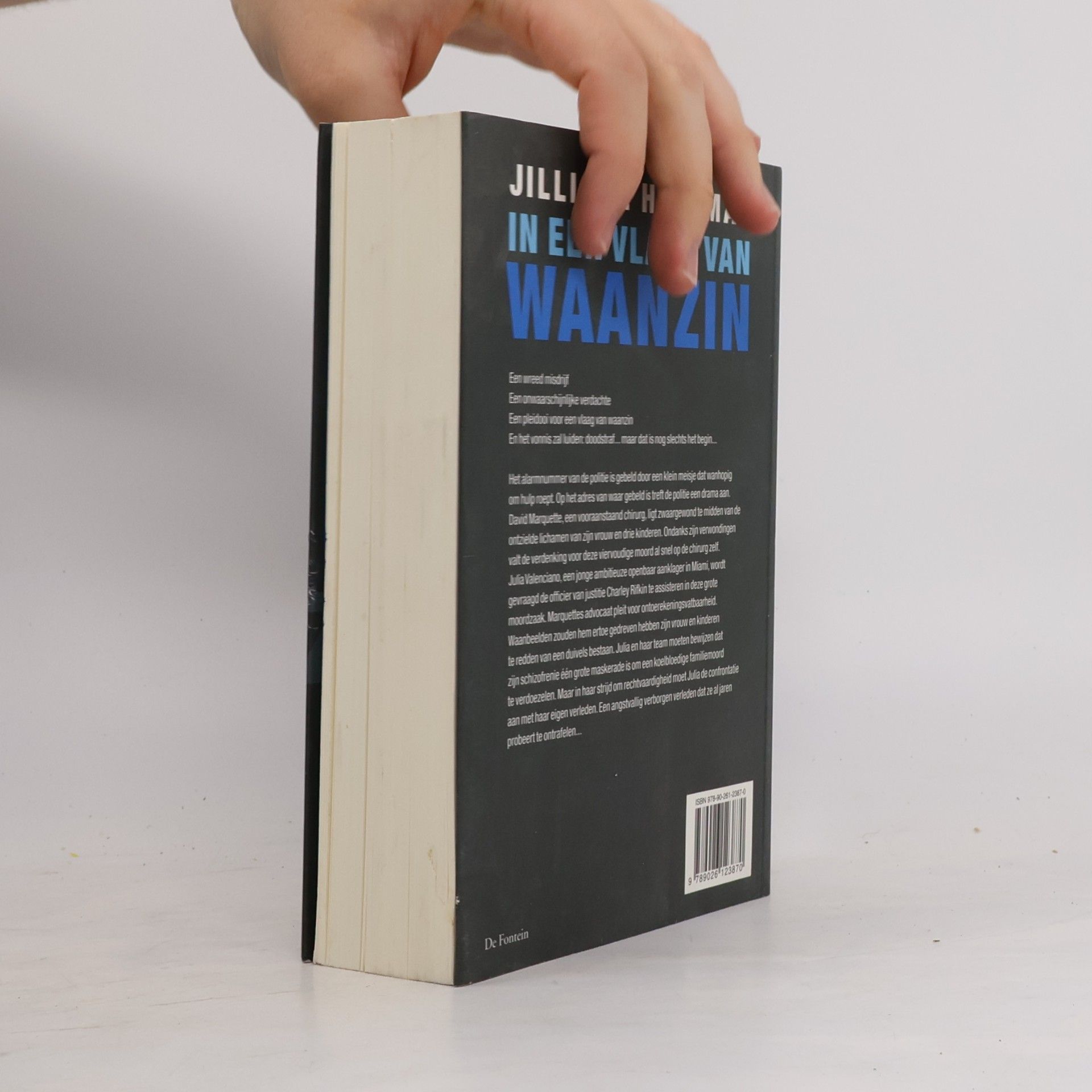 Jilliane Hoffman In een vlaag van waanzin