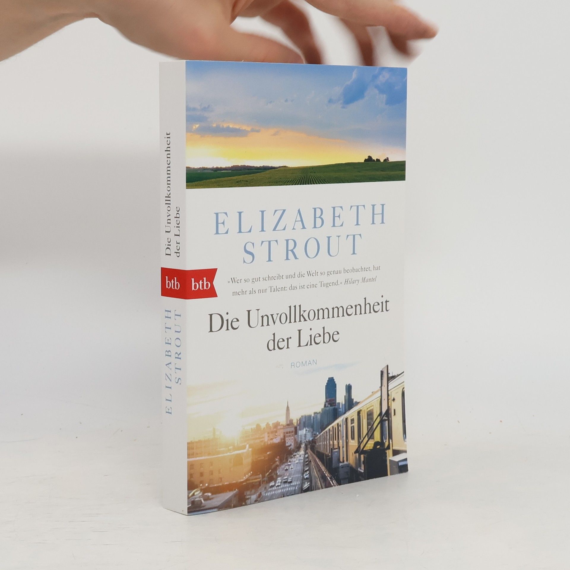 Elizabeth Strout Die Unvollkommenheit der Liebe