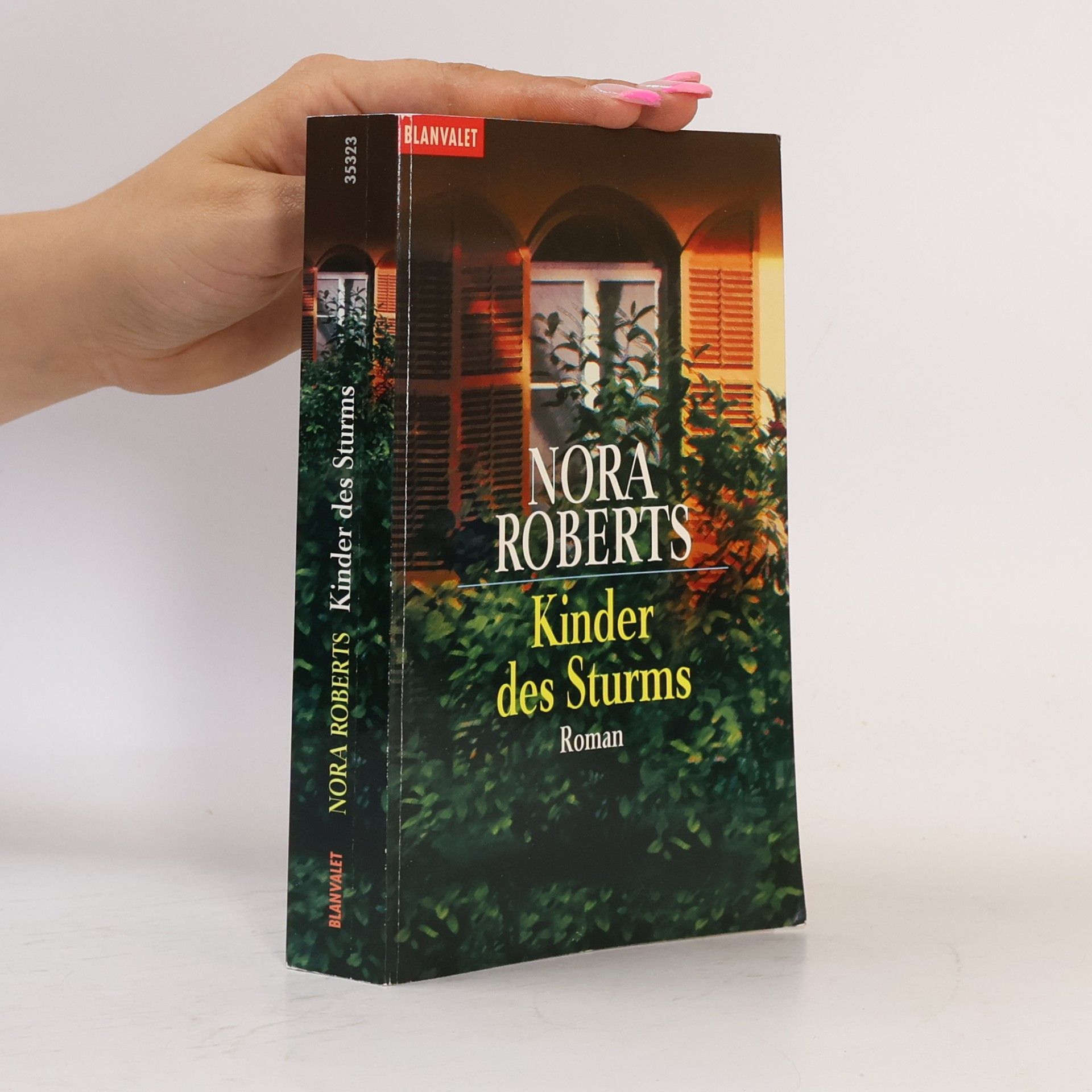 Nora Roberts Kinder des Sturms