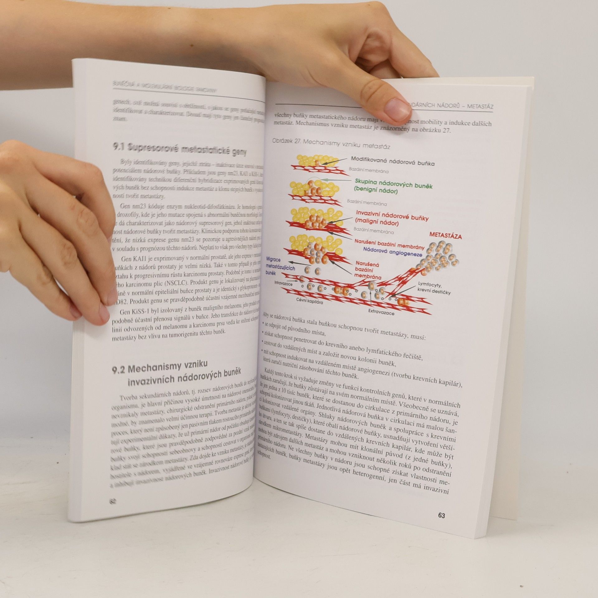 Čestmír Altaner Buněčná a molekulární biologie rakoviny