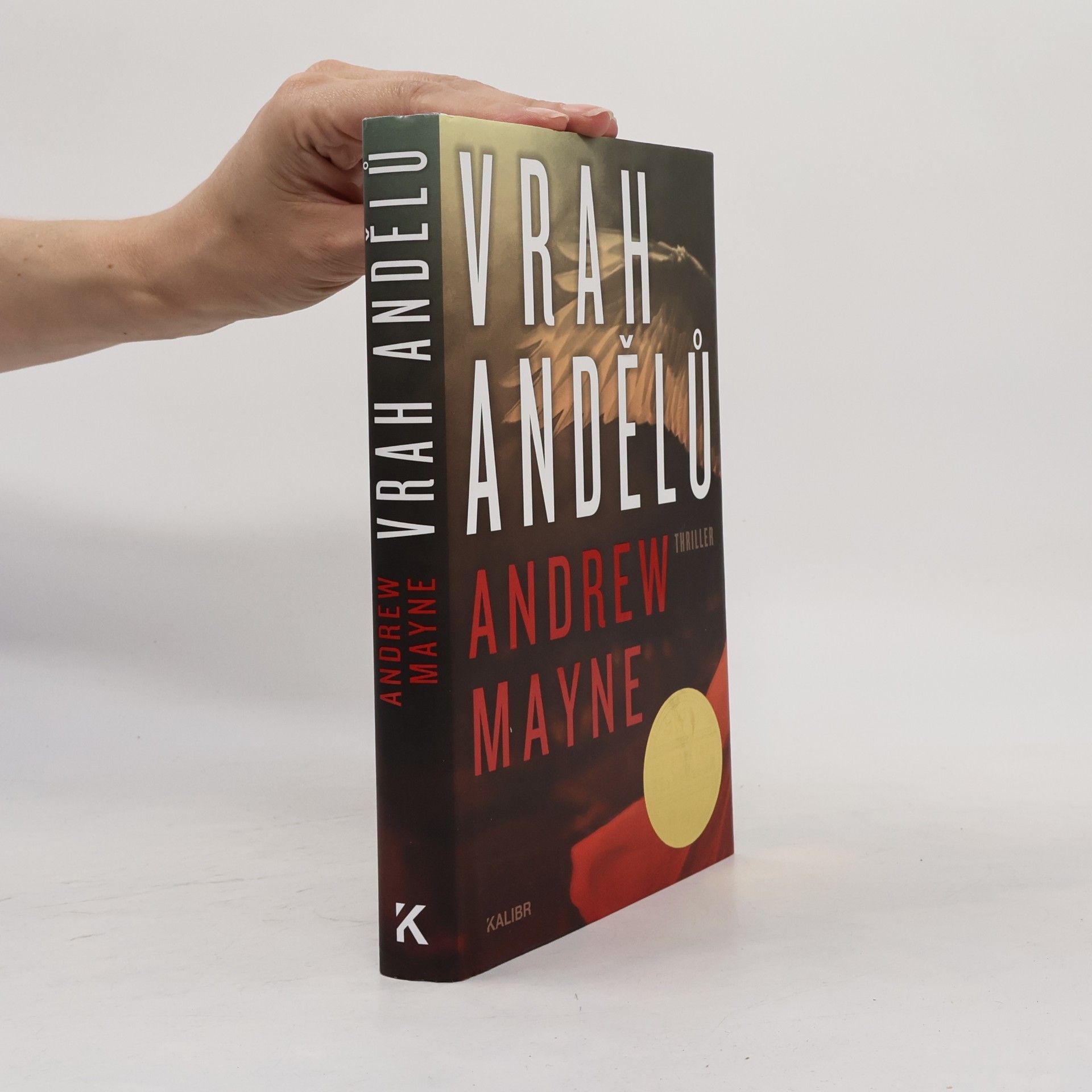 Andrew Mayne Vrah andělů