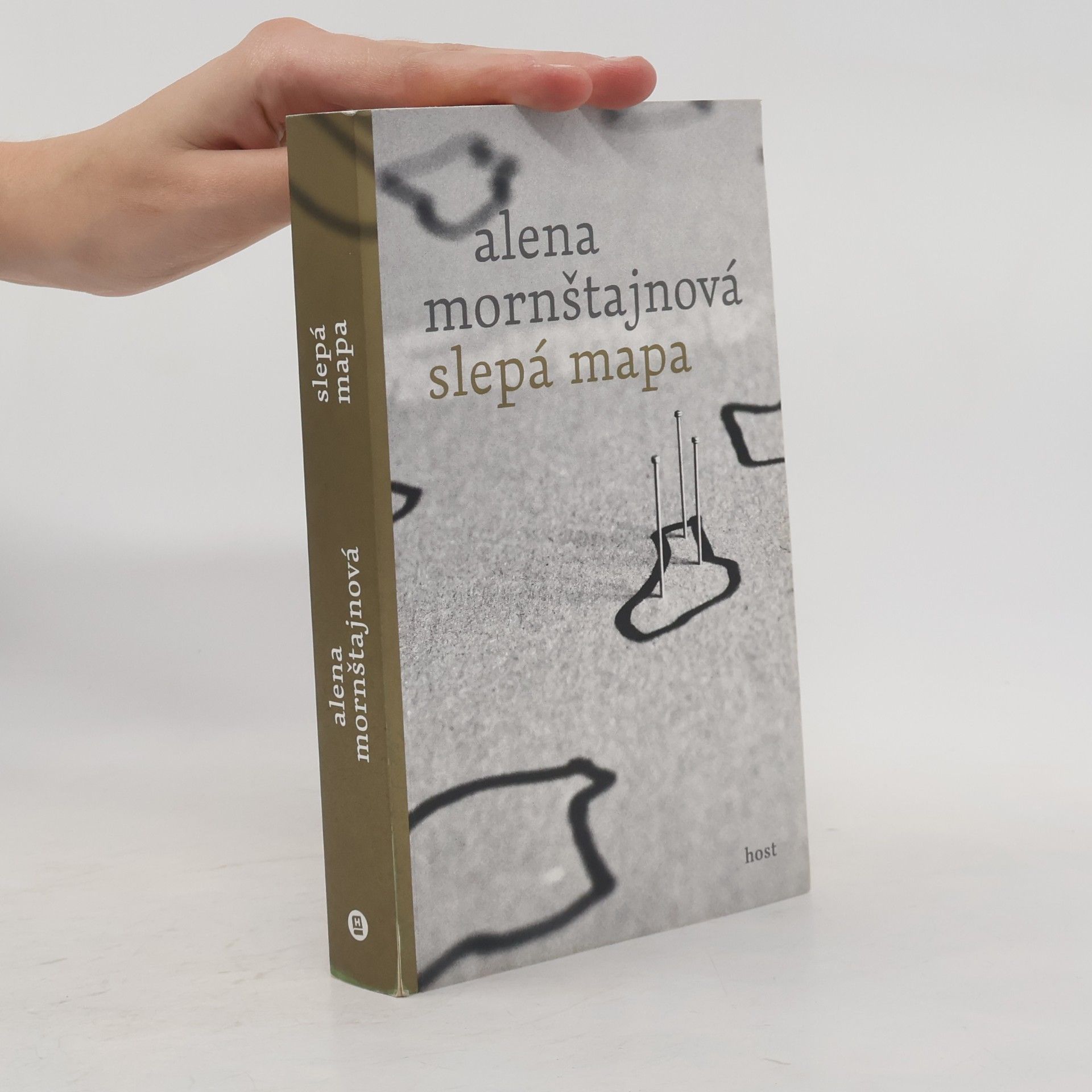 Alena Mornštajnová Slepá mapa