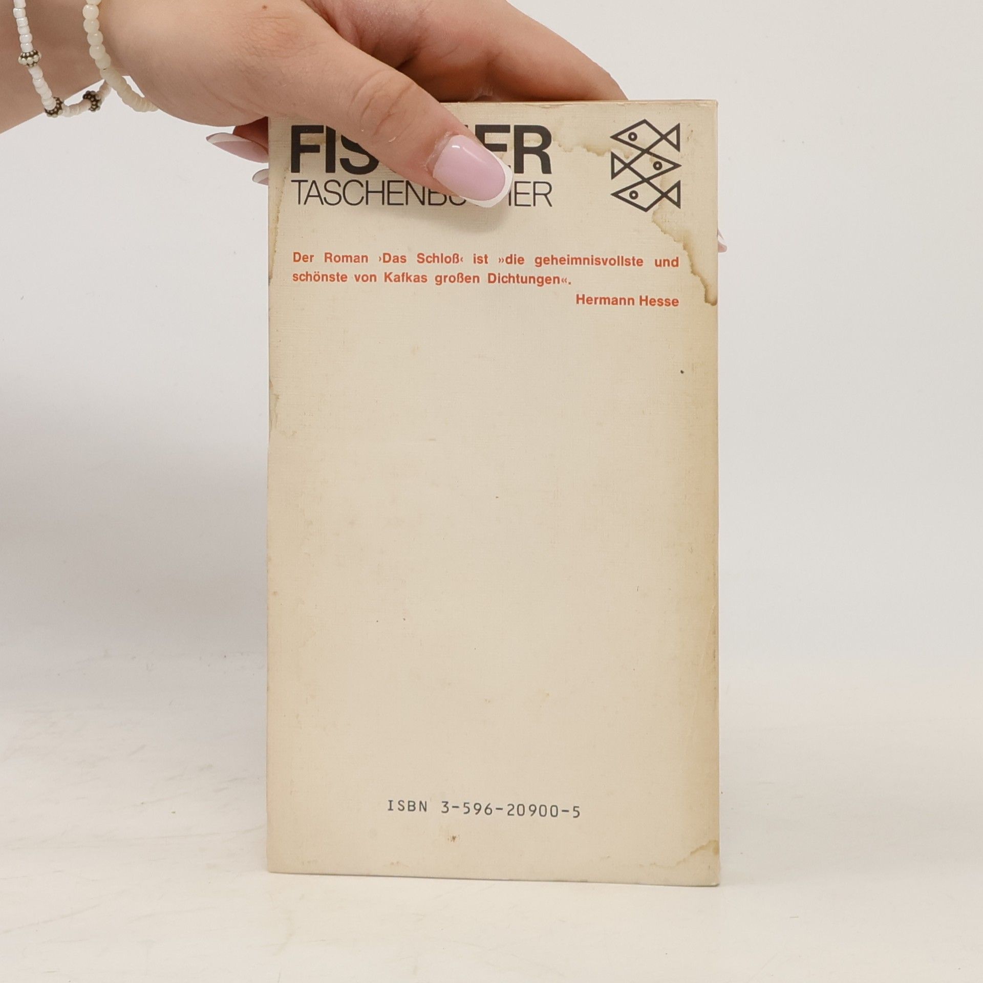 Franz Kafka Das Schloß