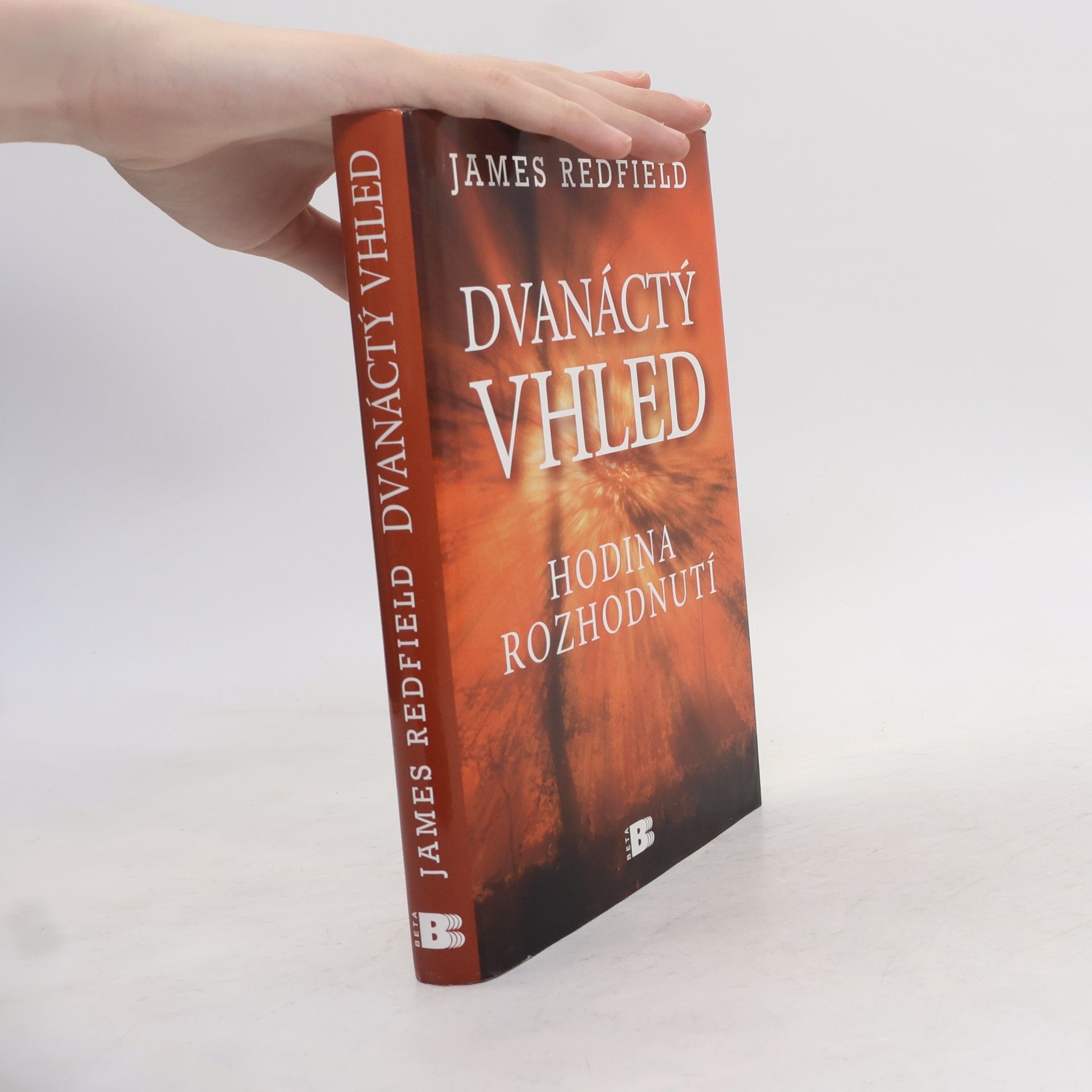 James Redfield Dvanáctý vhled