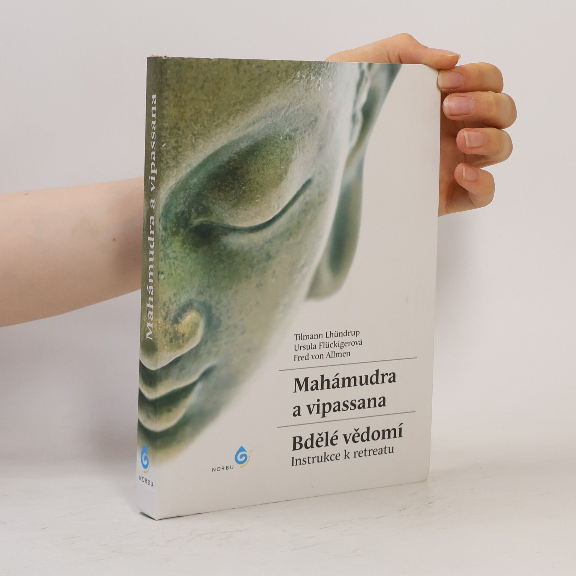 Tilmann Lhündrup Mahámudra a vipassana - Bdělé vědomí