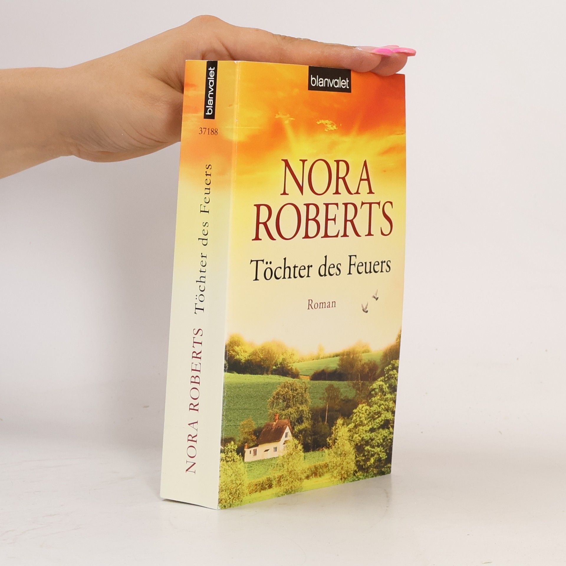 Nora Roberts Töchter des Feuers