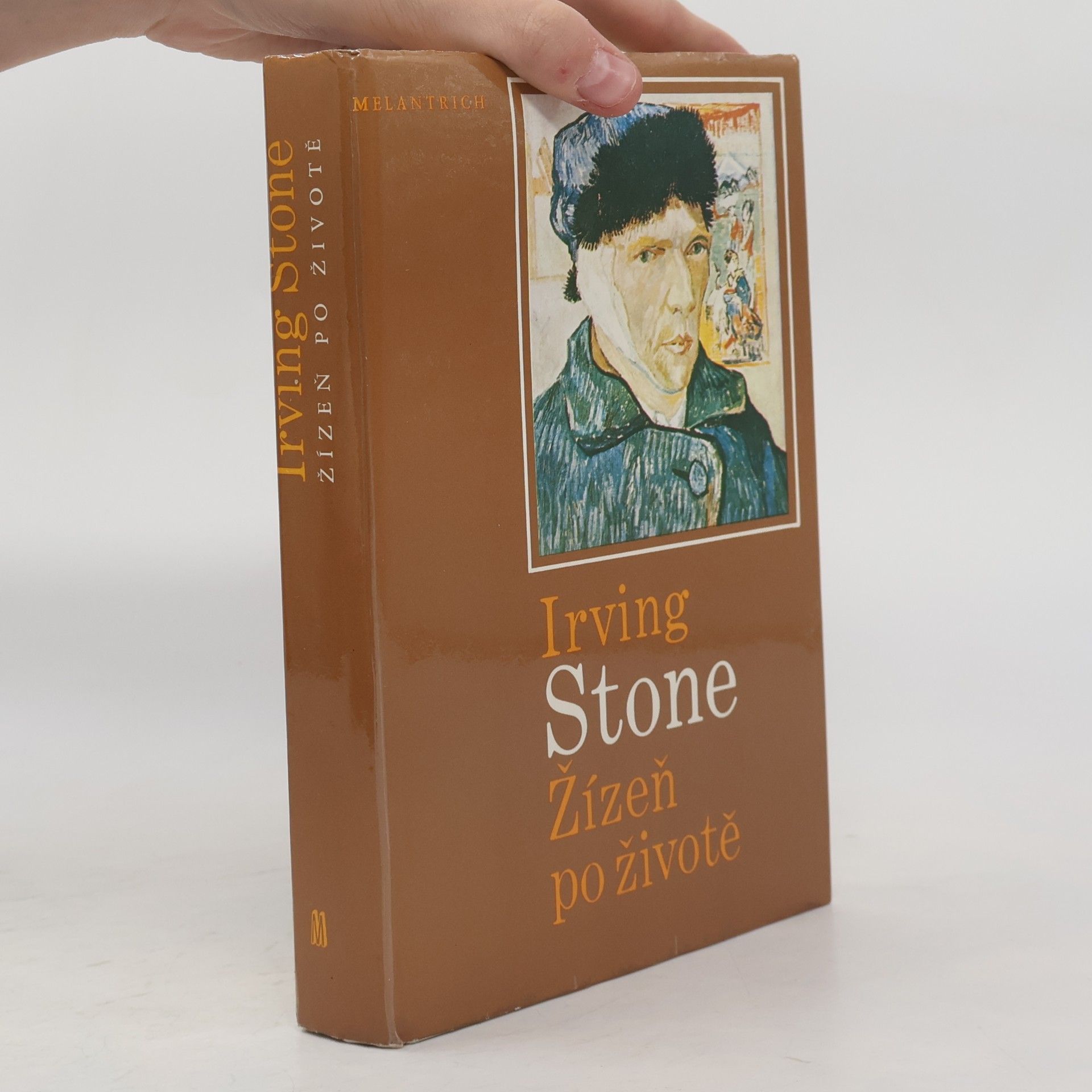 Irving Stone Žízeň po životě