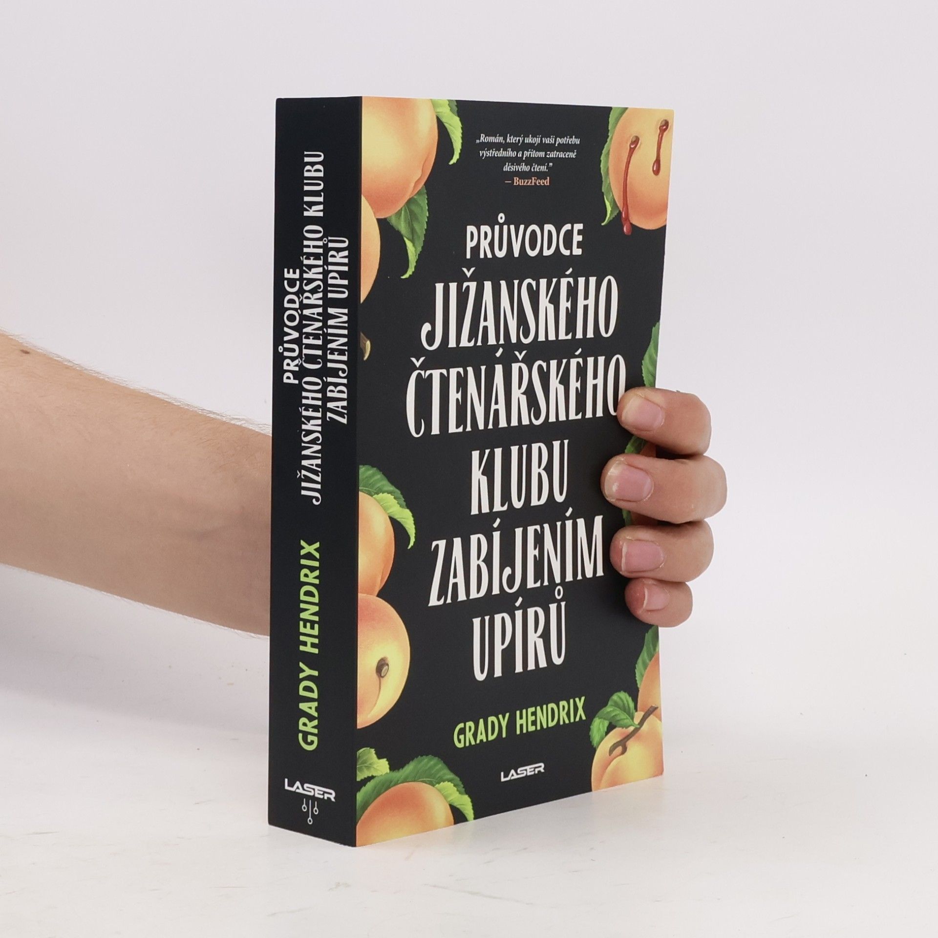 Grady Hendrix Průvodce jižanského čtenářského klubu zabíjením upírů