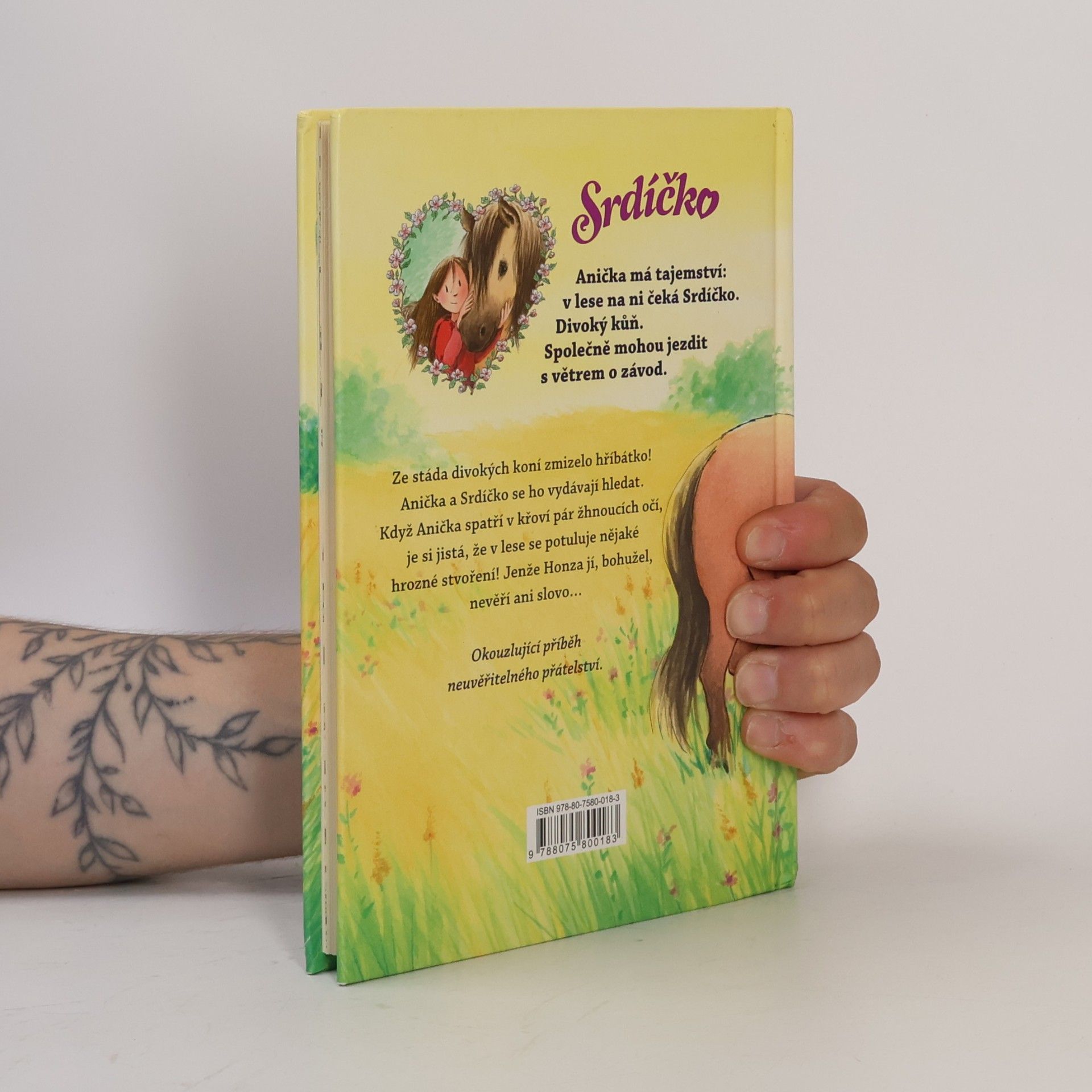 Usch Luhn Srdíčko - Anička zachraňuje hříbátko