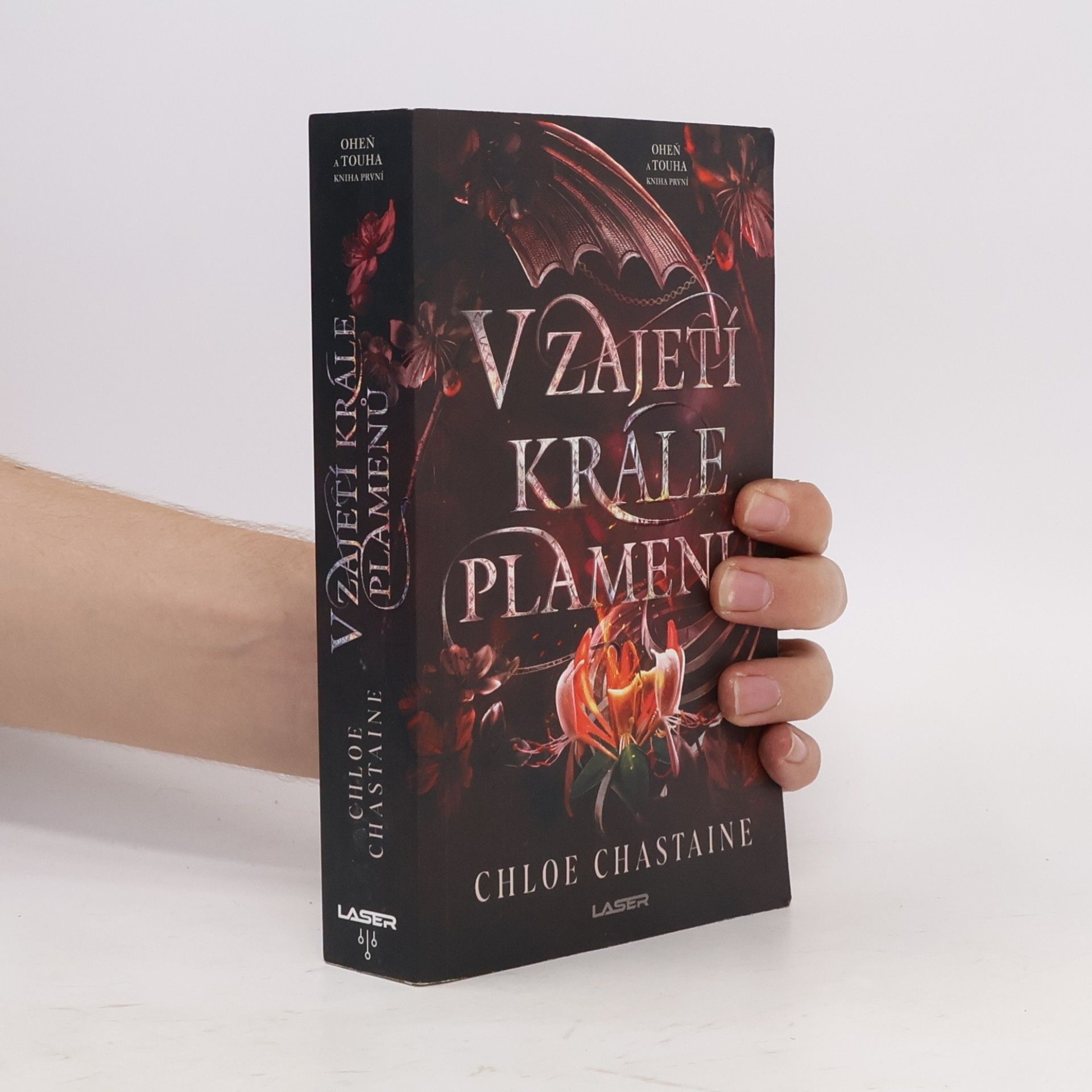Chloe Chastaine V zajetí krále plamenů
