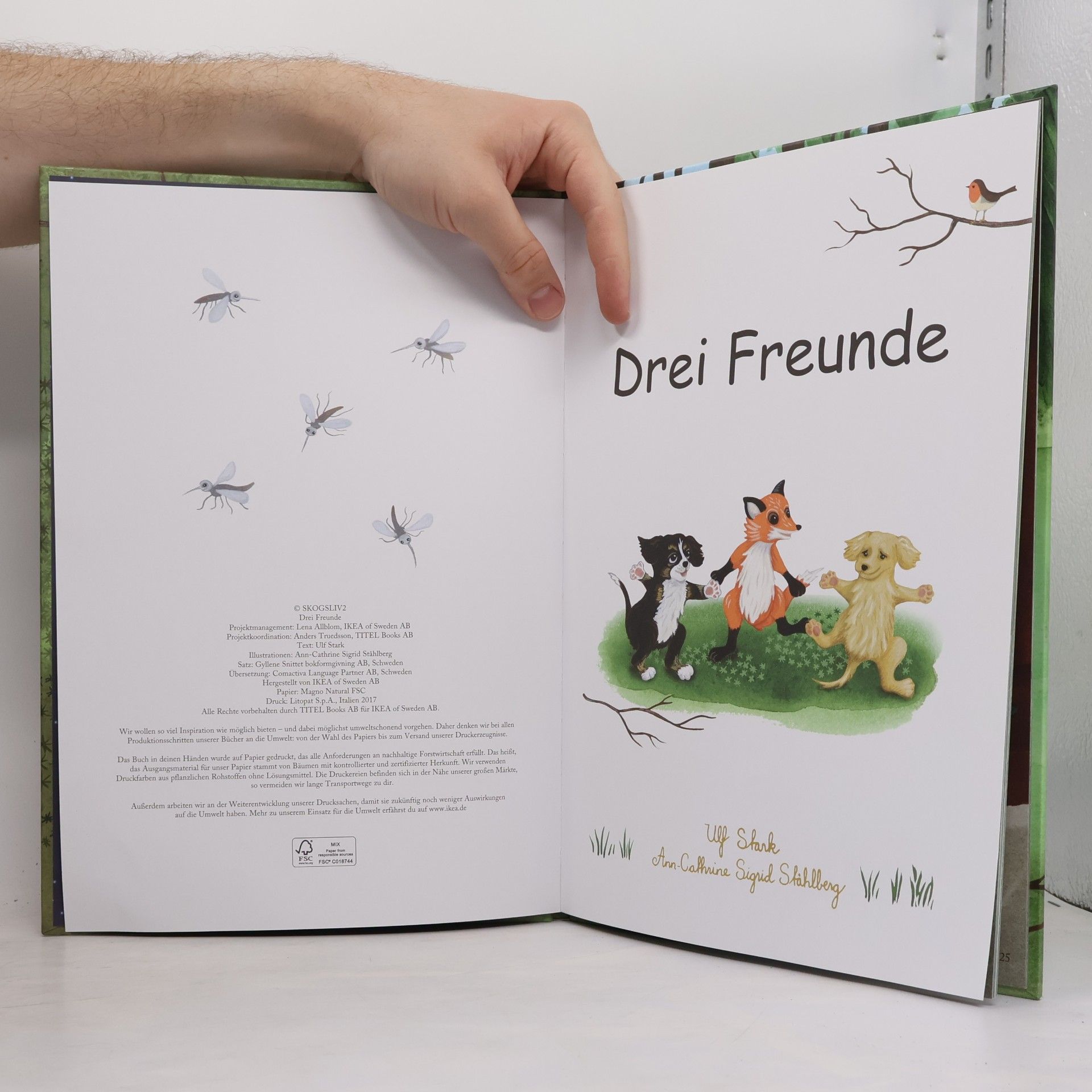 Ulf Stark Drei Freunde