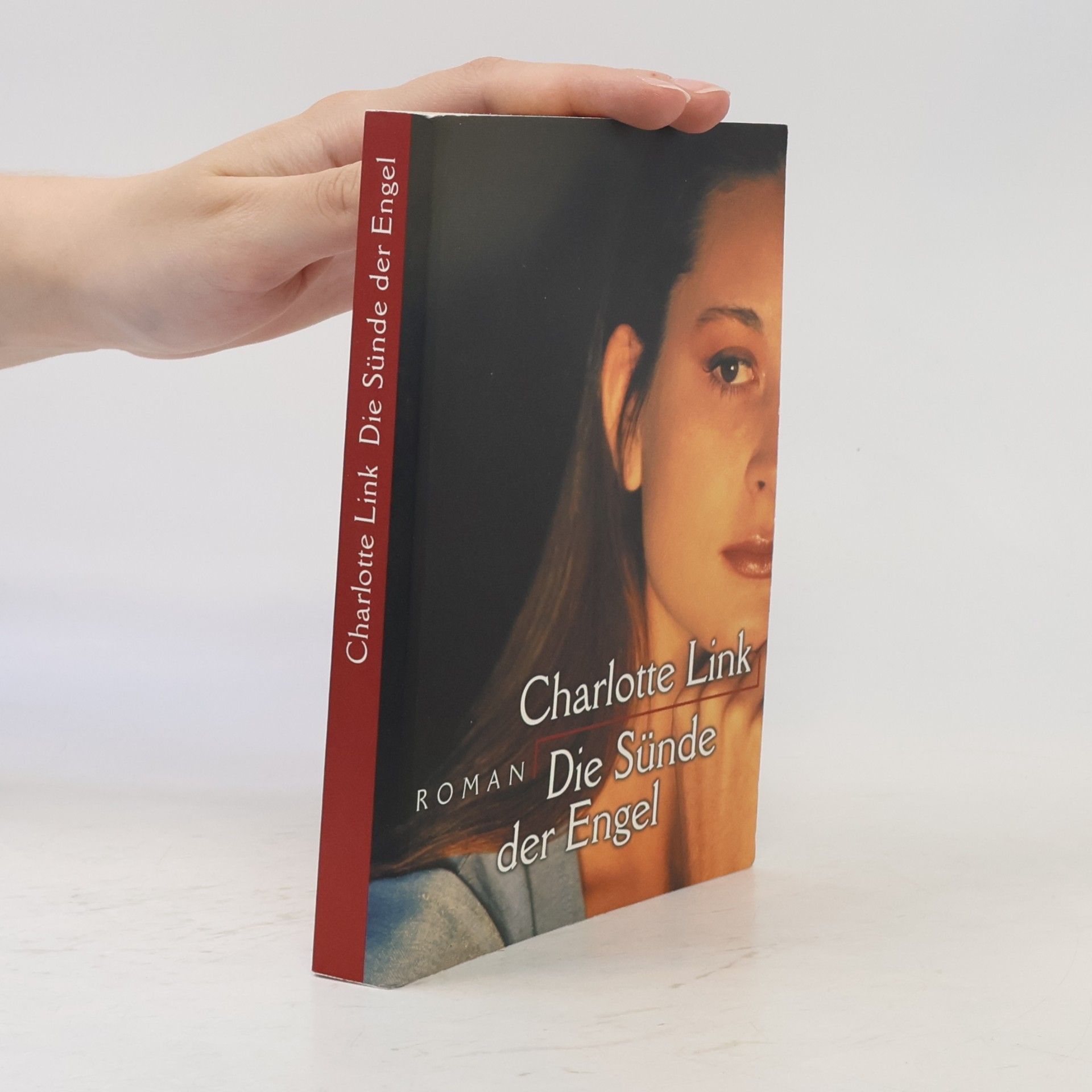 Charlotte Link Die Sünde der Engel