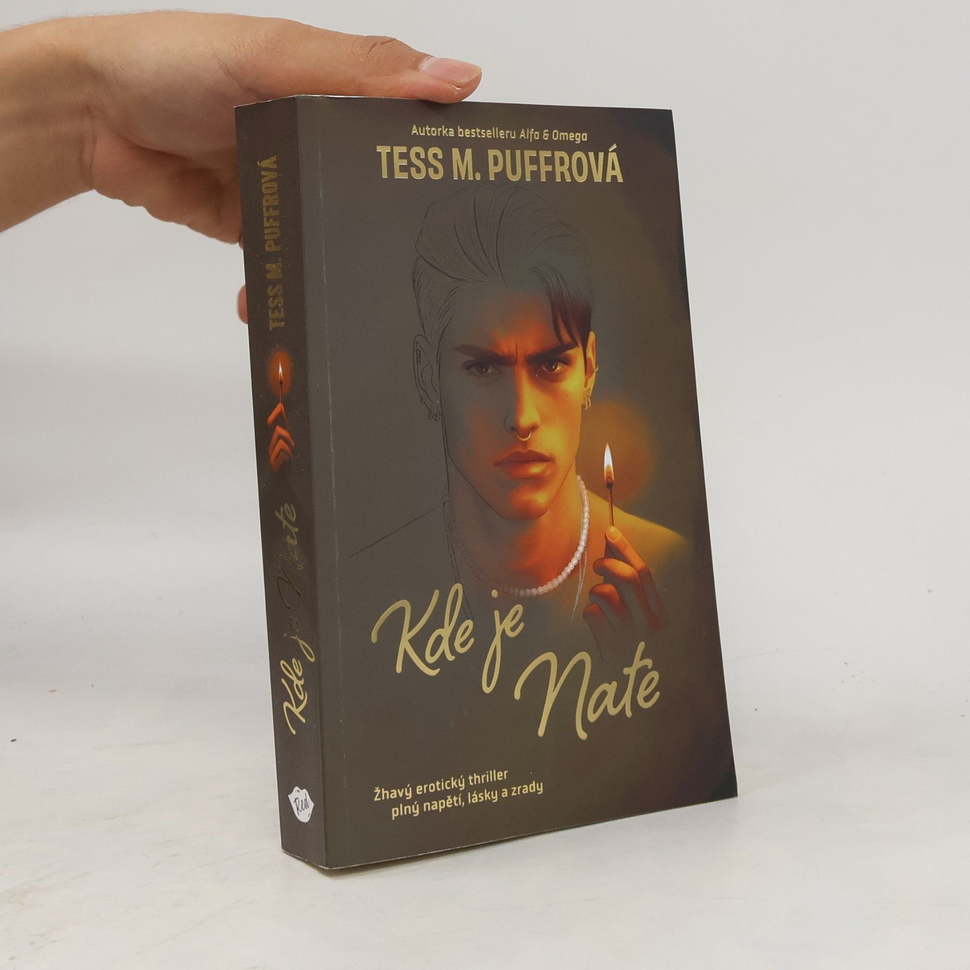 Tess M. Puffrová Kde je Nate