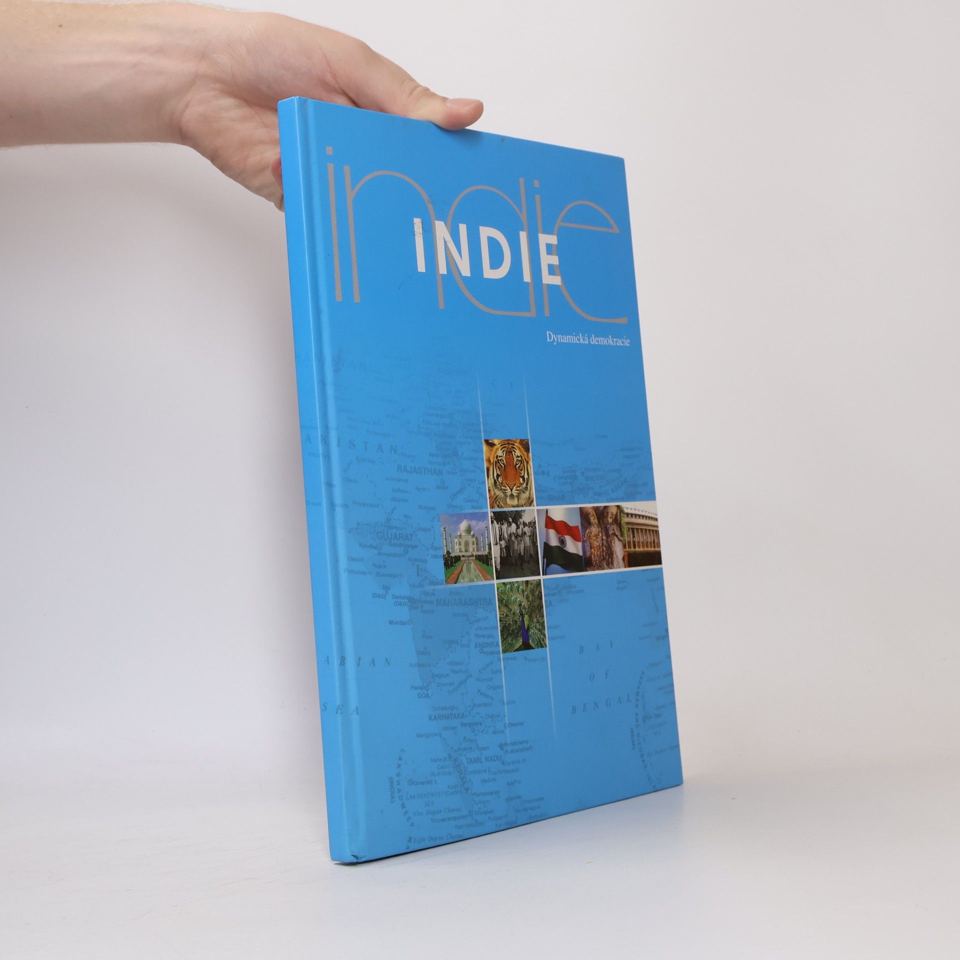 kolektiv Indie. Dynamická demokracie
