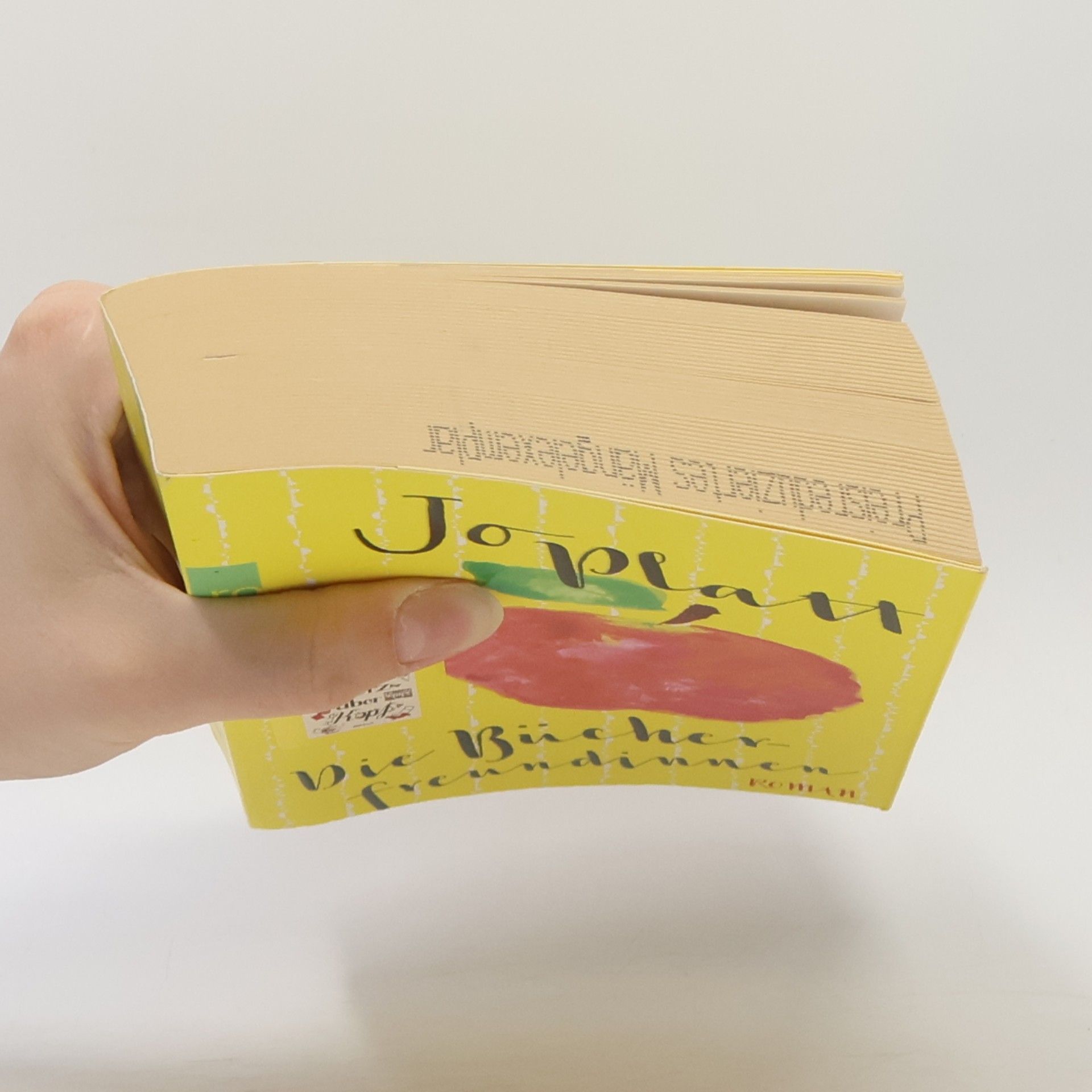 Jo Platt Die Bücherfreundinnen