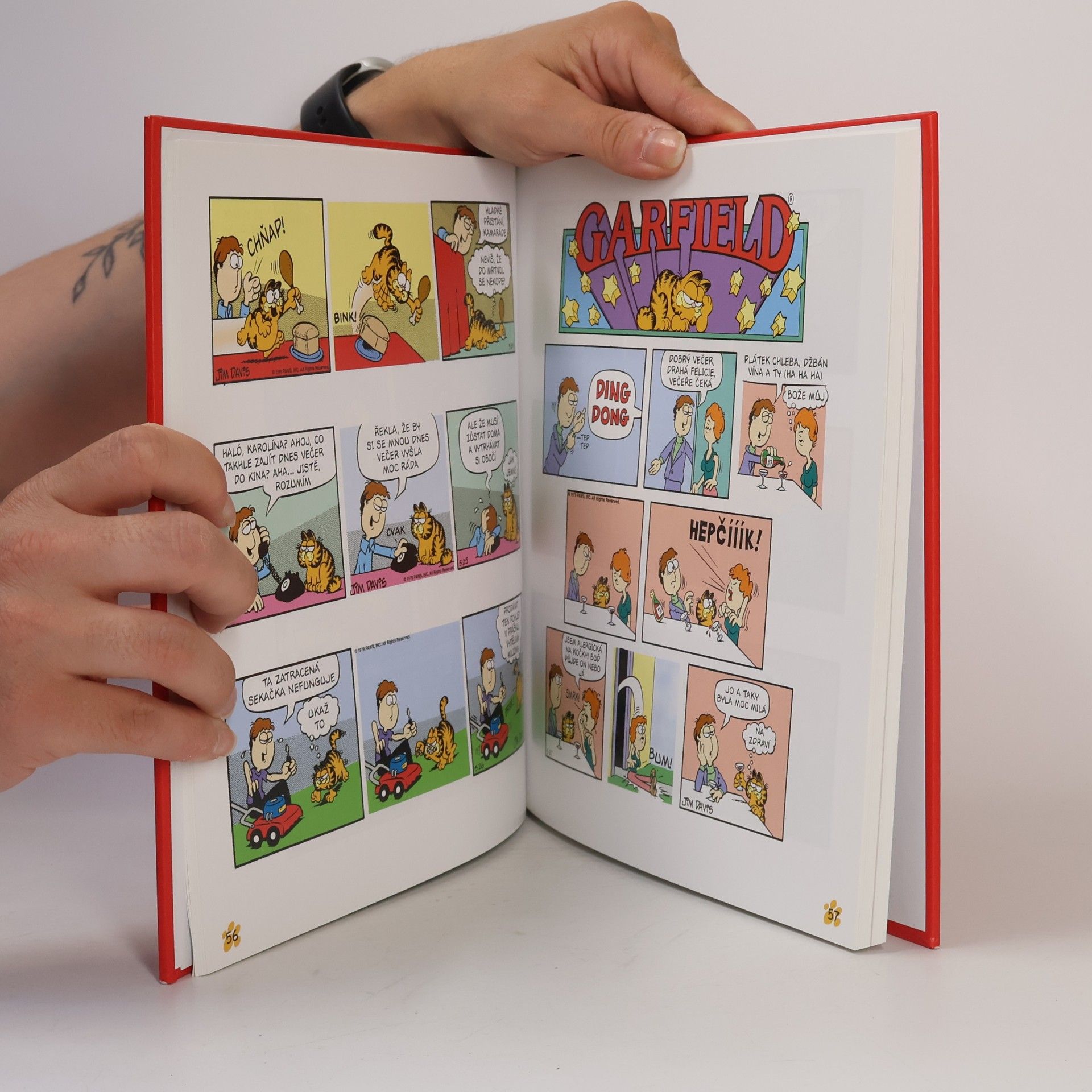 Jim Davis Garfield se vybarvuje