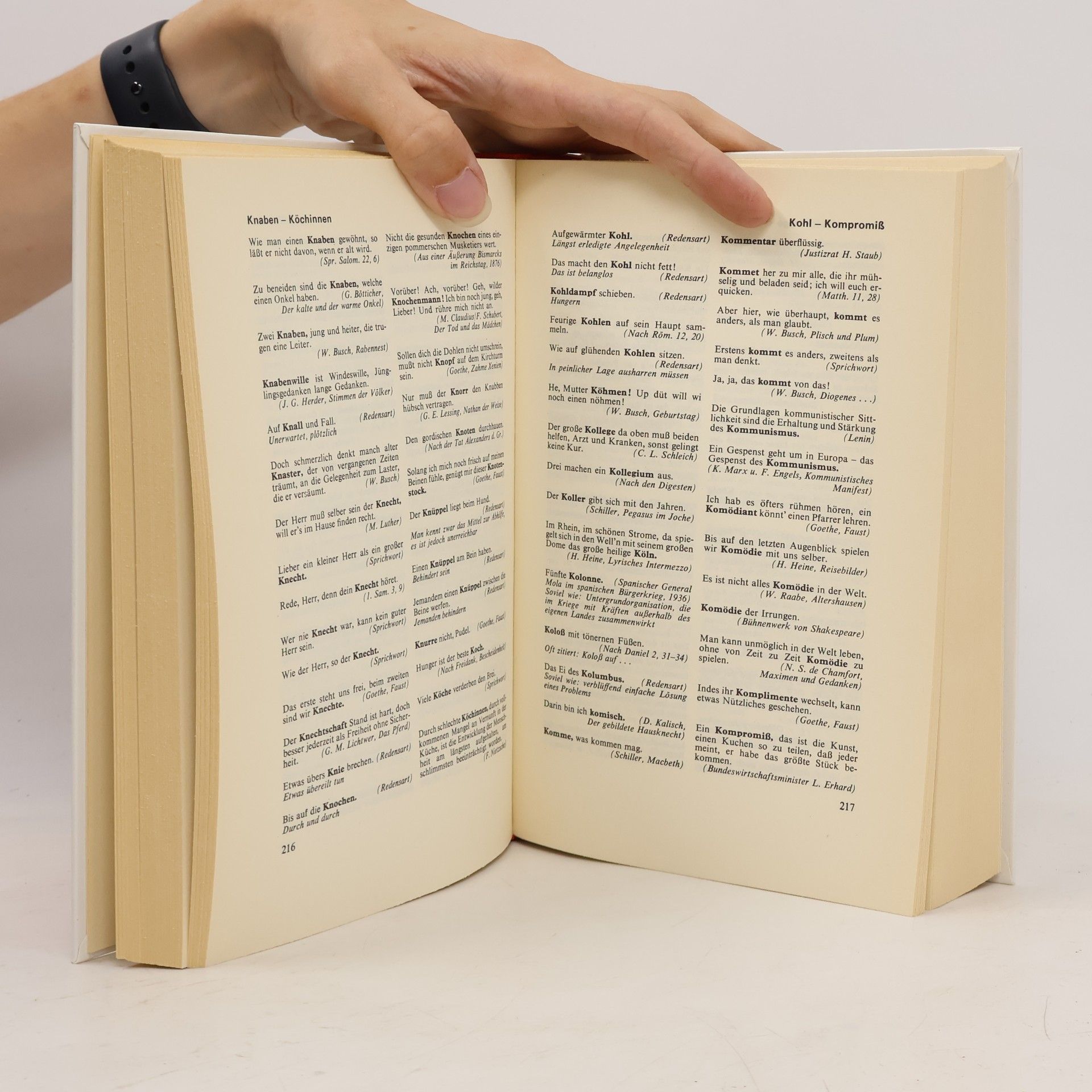 Gerhard Hellwig Das große Buch der Zitate
