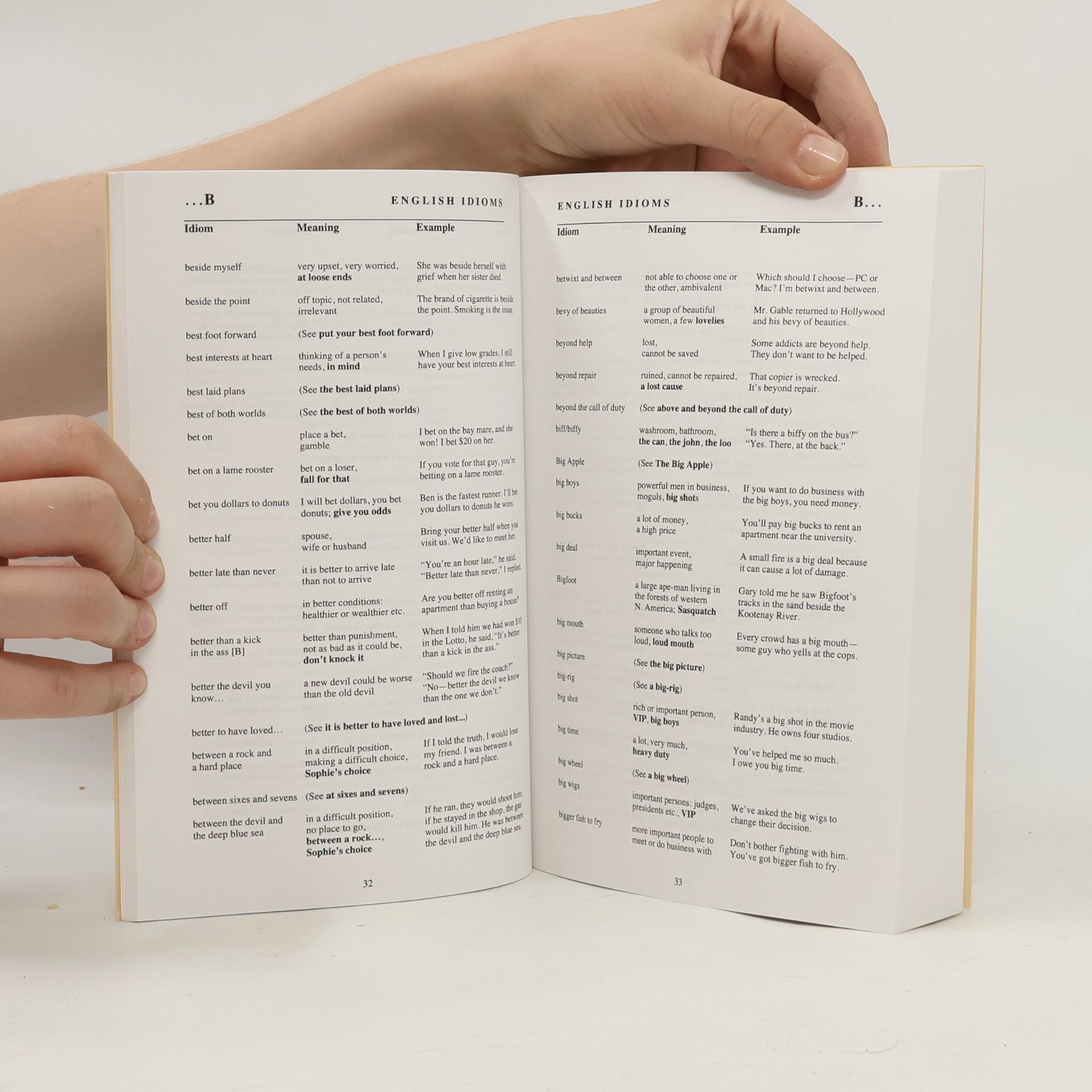 Wayne Magnuson English Idioms