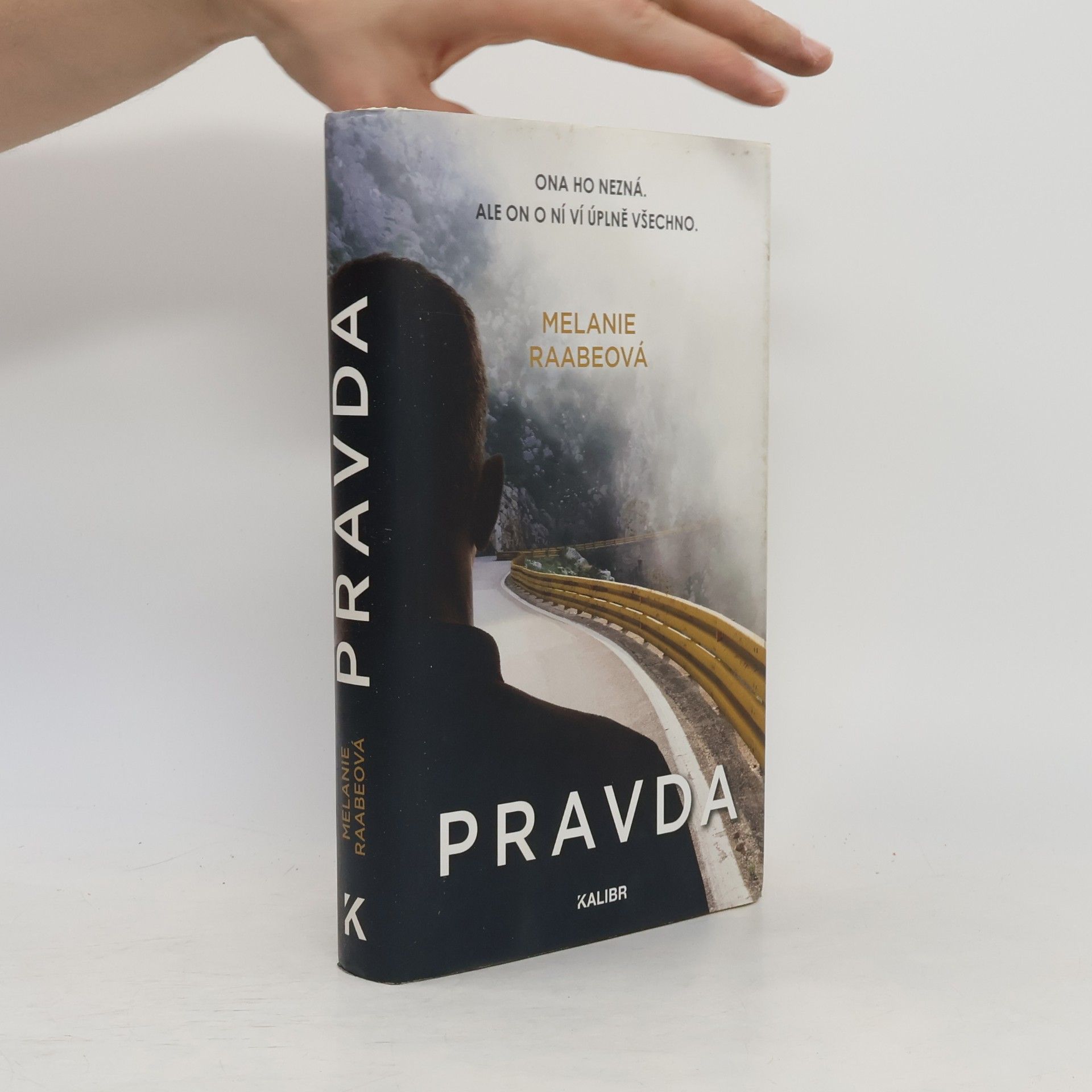 Melanie Raabe Pravda