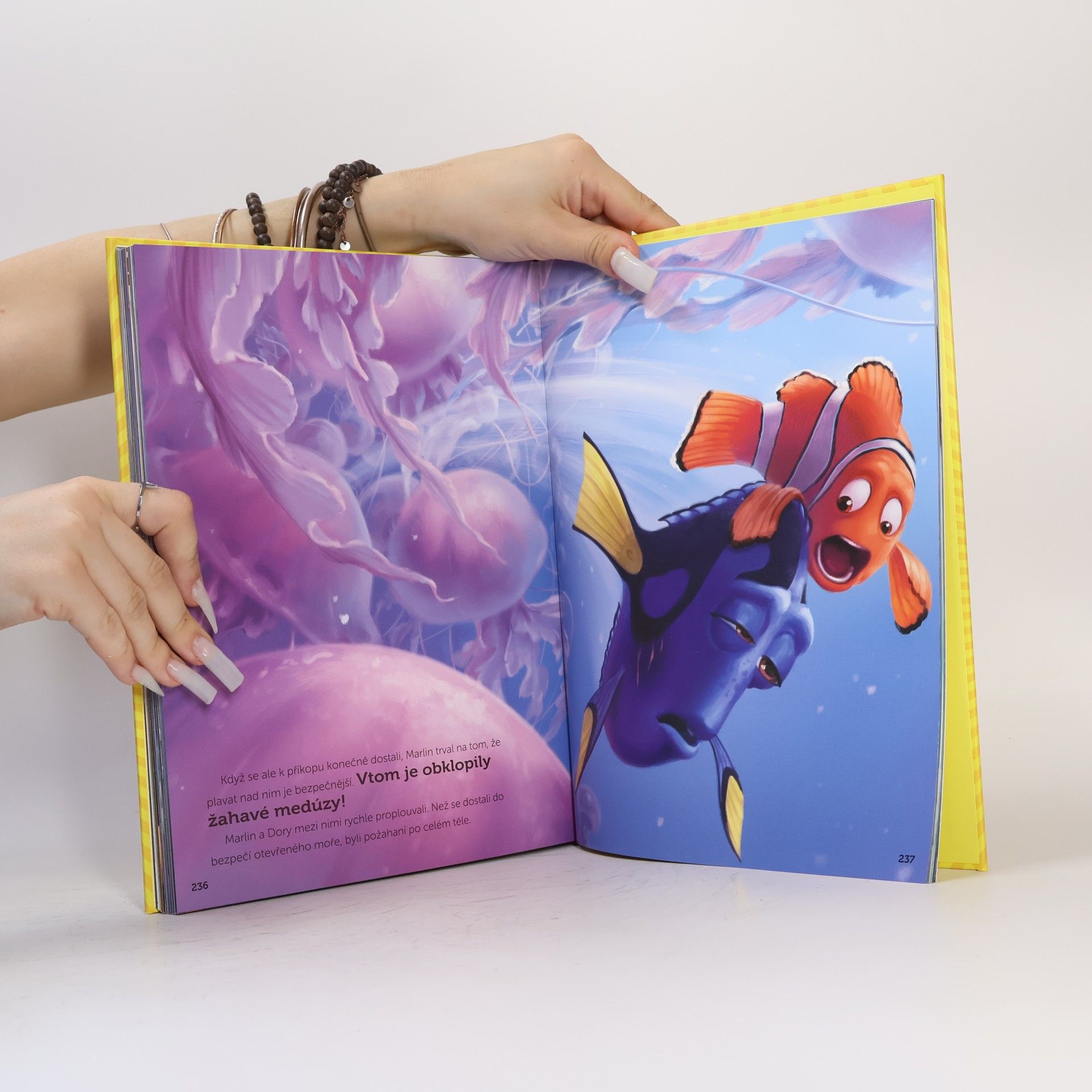 Walt Disney Disney Pixar - Nejkrásnější kolekce