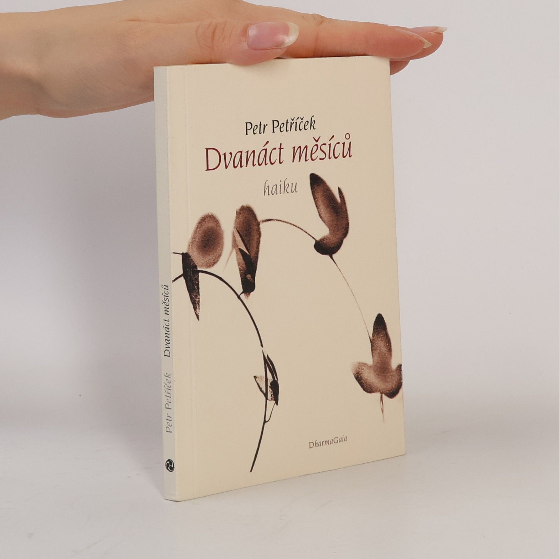 Petr Petříček Dvanáct měsíců: 108 haiku