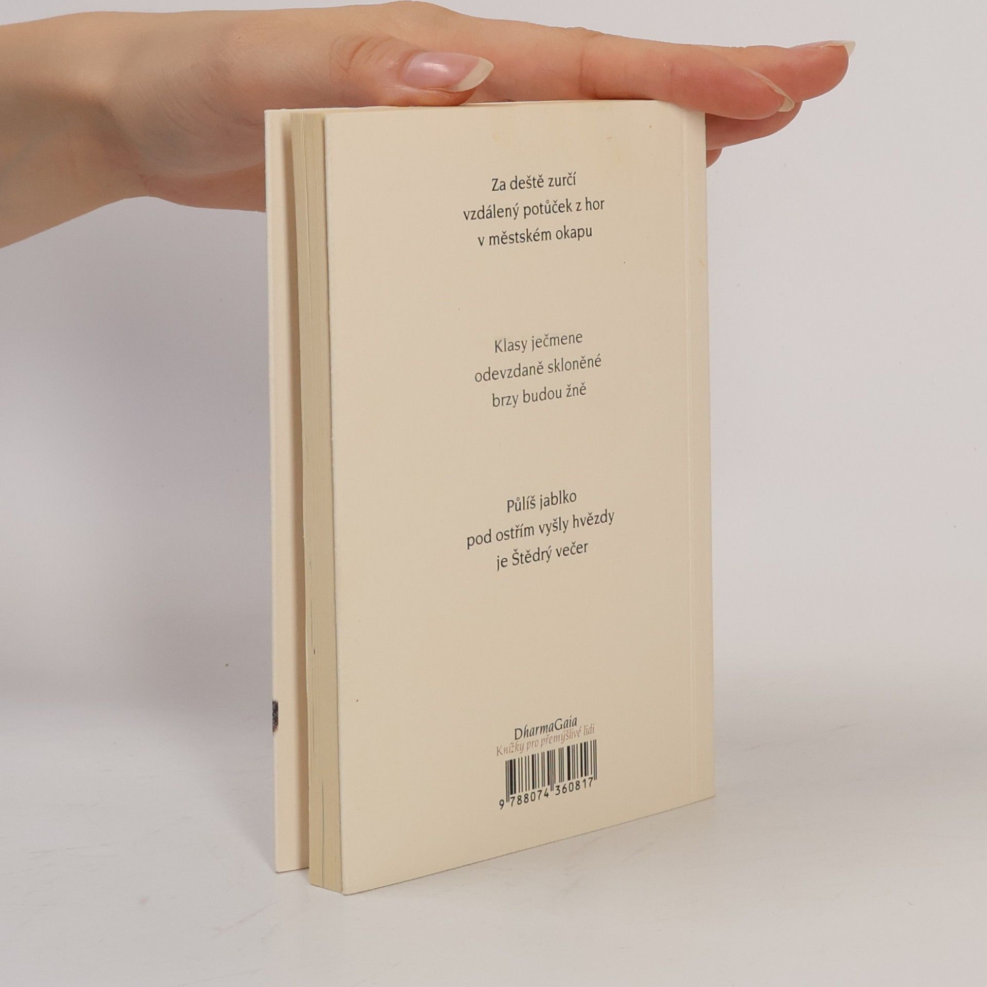 Petr Petříček Dvanáct měsíců: 108 haiku