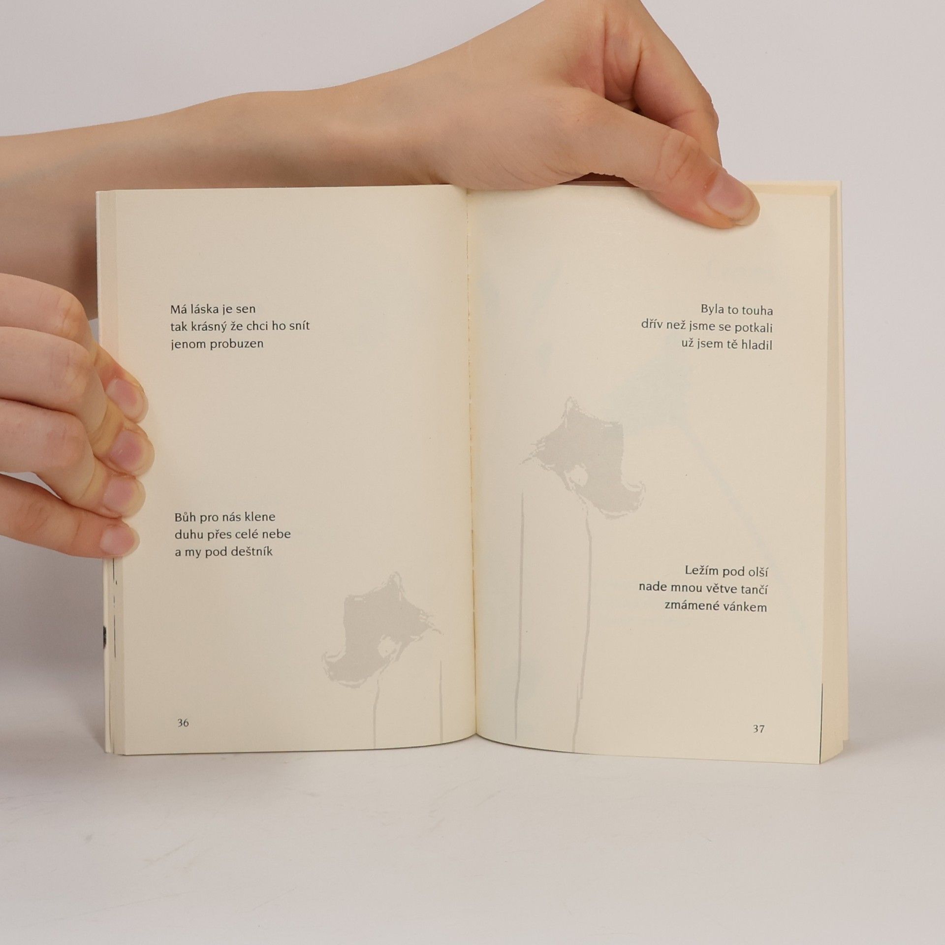 Petr Petříček Dvanáct měsíců: 108 haiku
