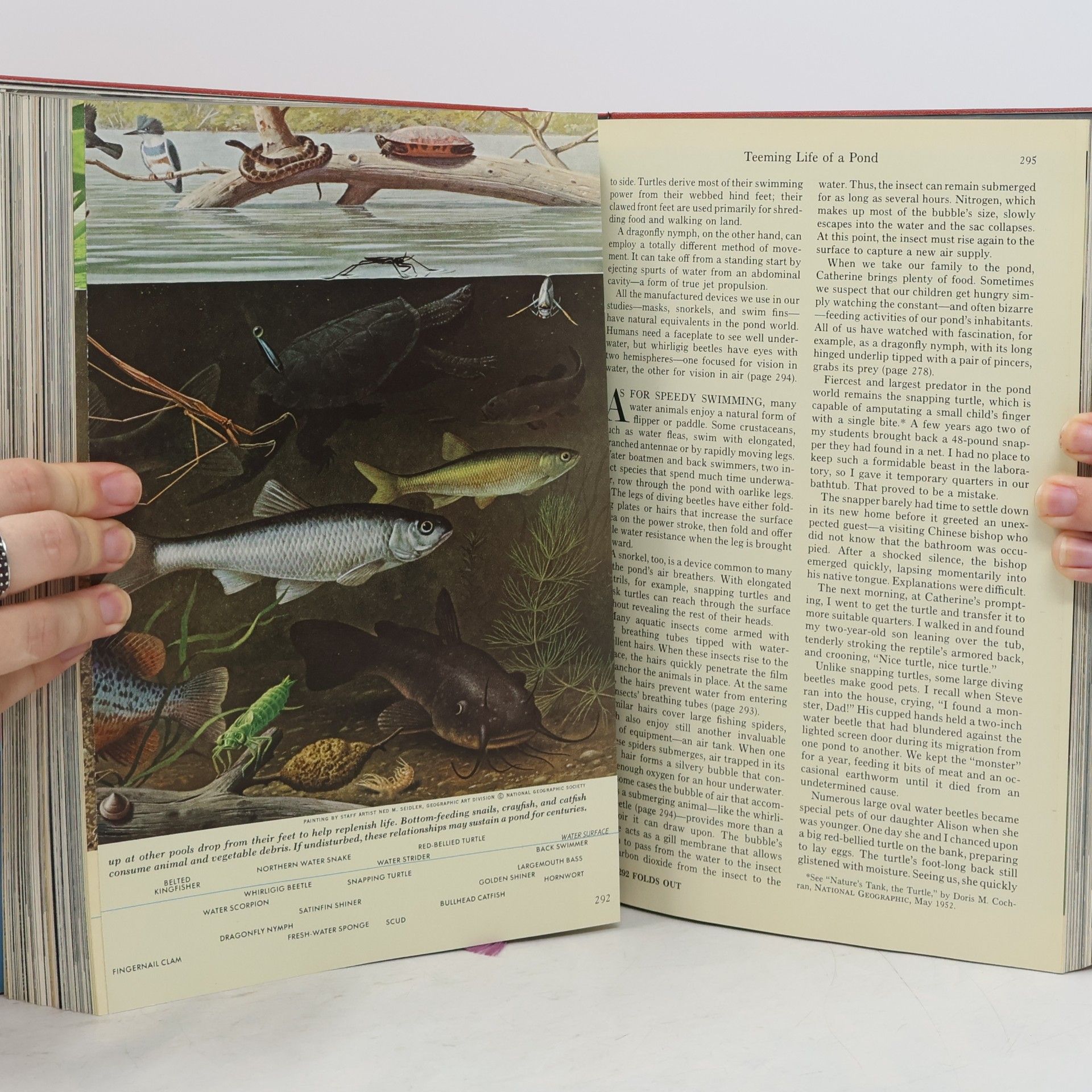 Kolektív autorov National Geographic 1970 3