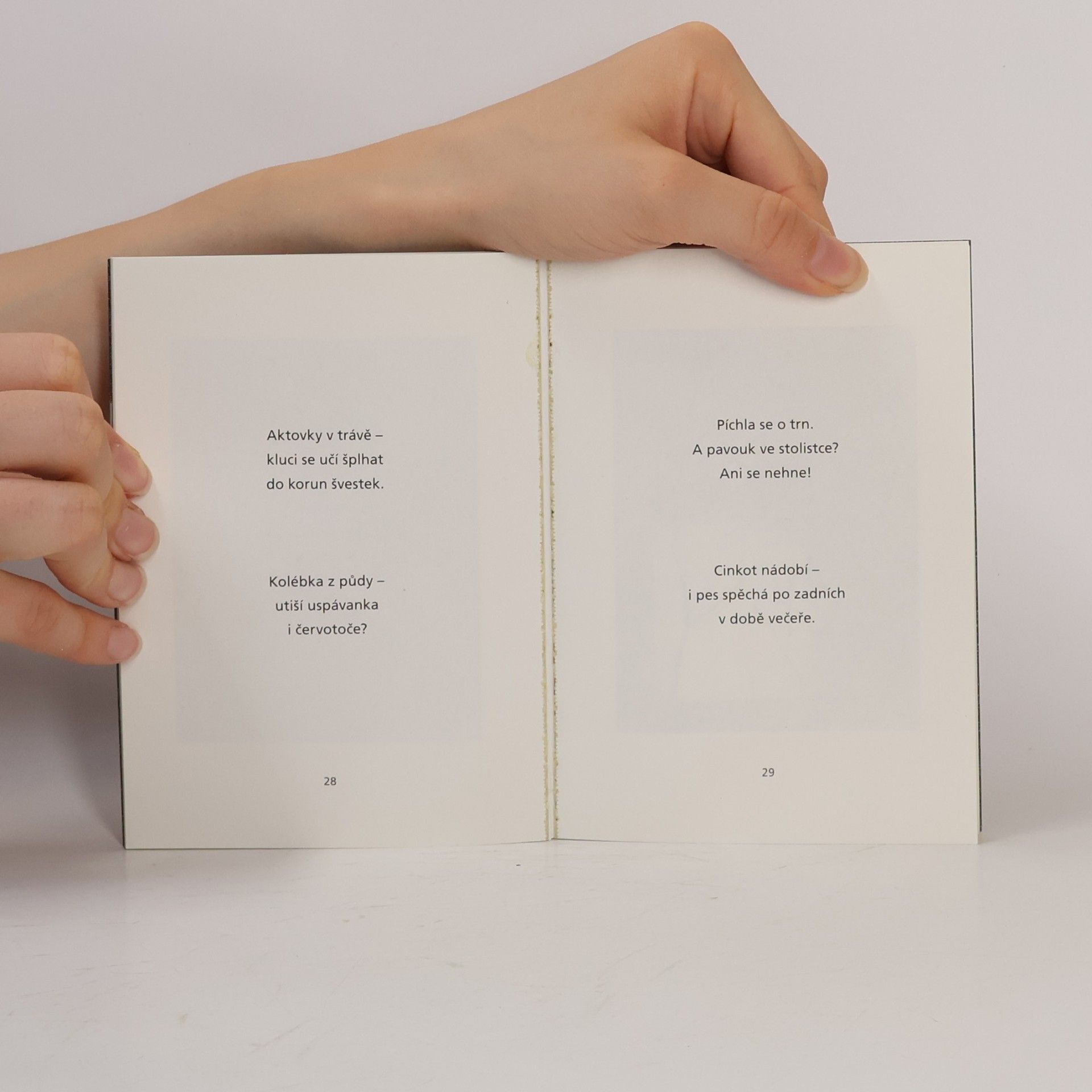 Katka Soustružníková Haiku