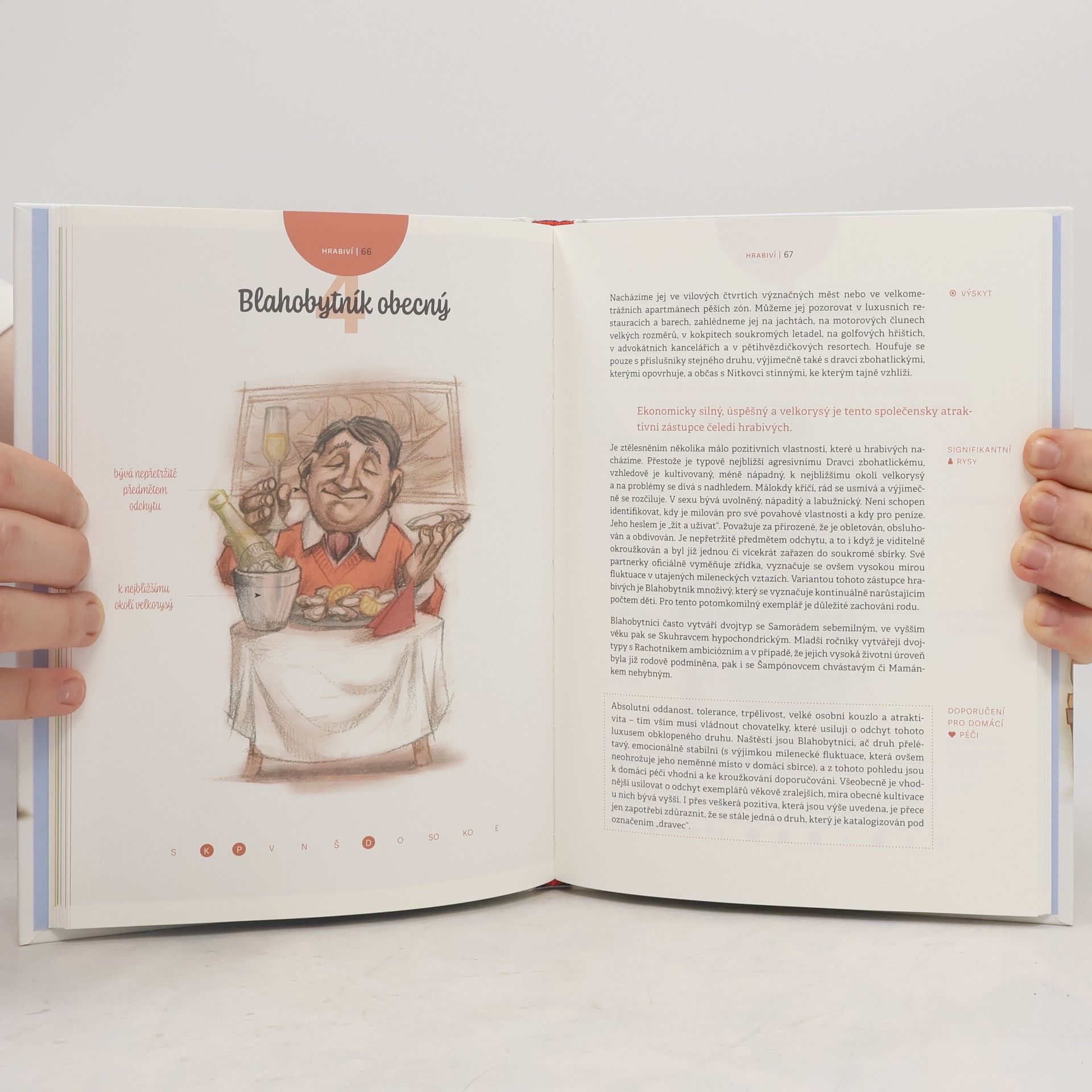 Sylva Lauerová Experimentální atlas mužů