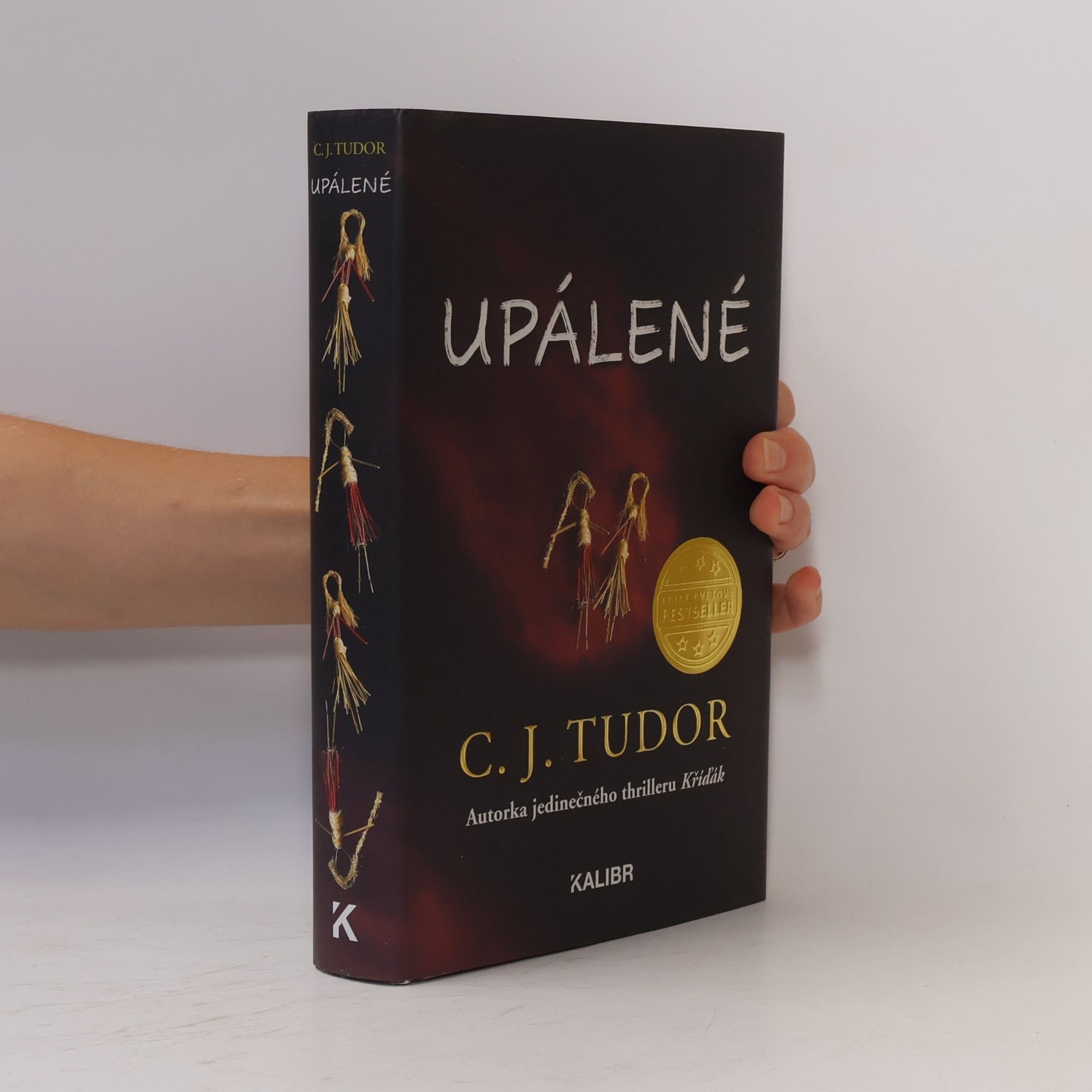 C.J. Tudor Upálené