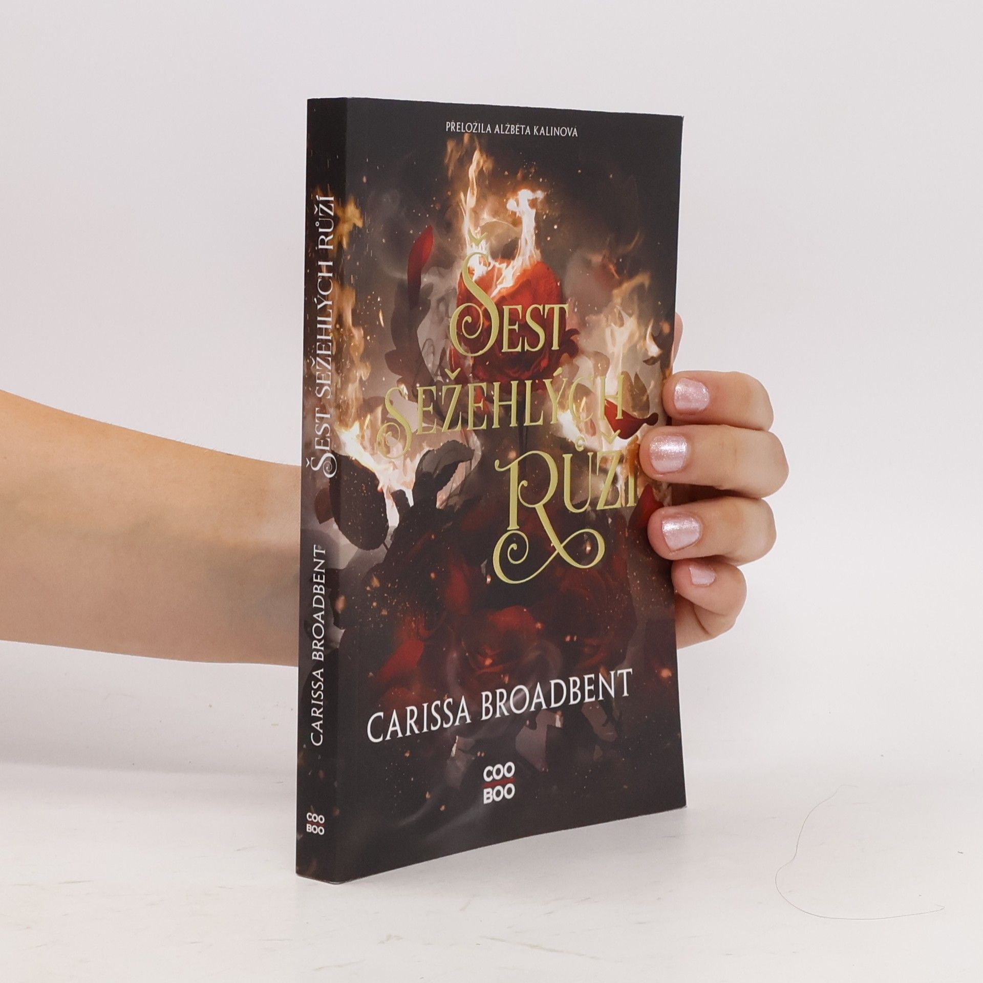 Carissa Broadbent Šest sežehlých růží