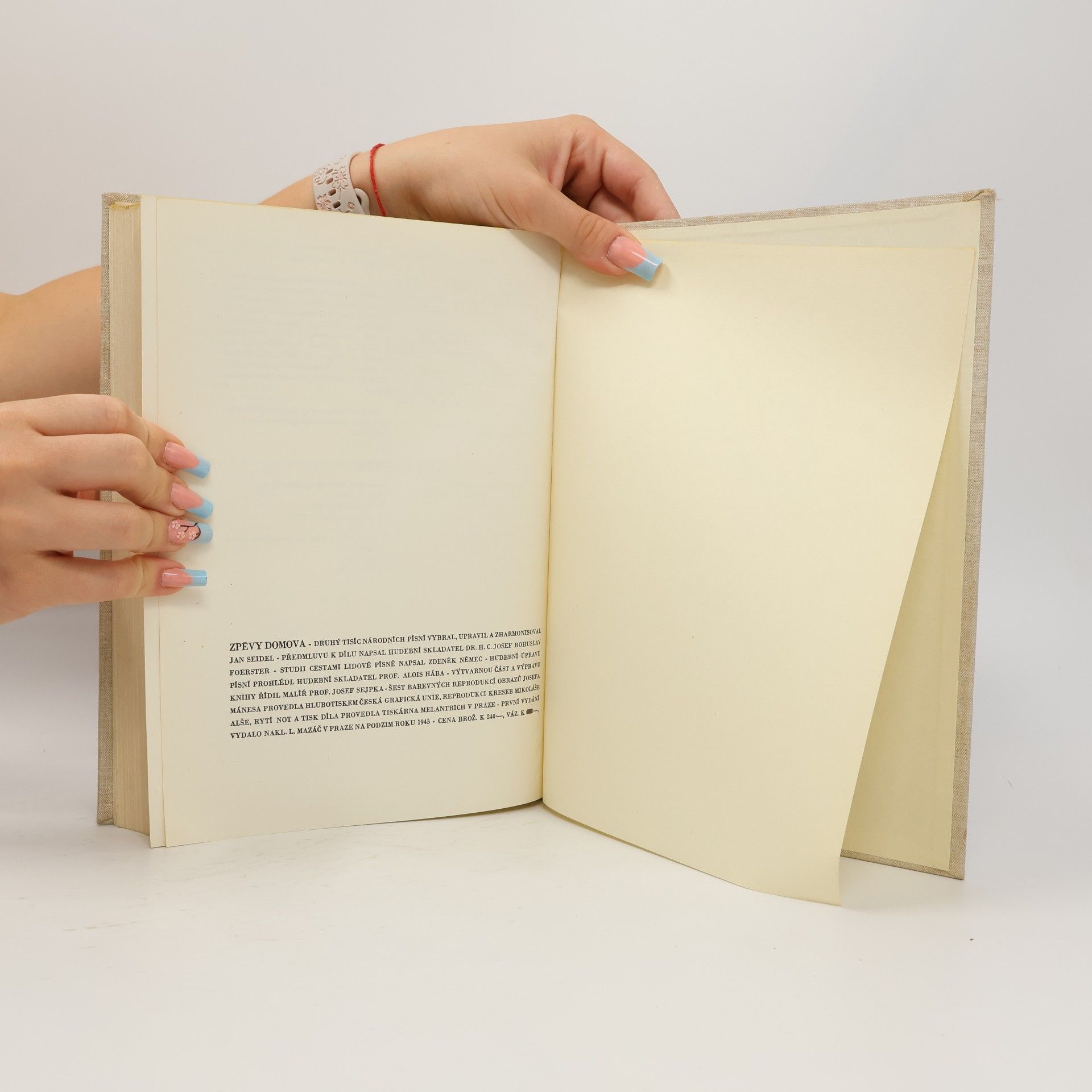 Various authors Zpěvy domova