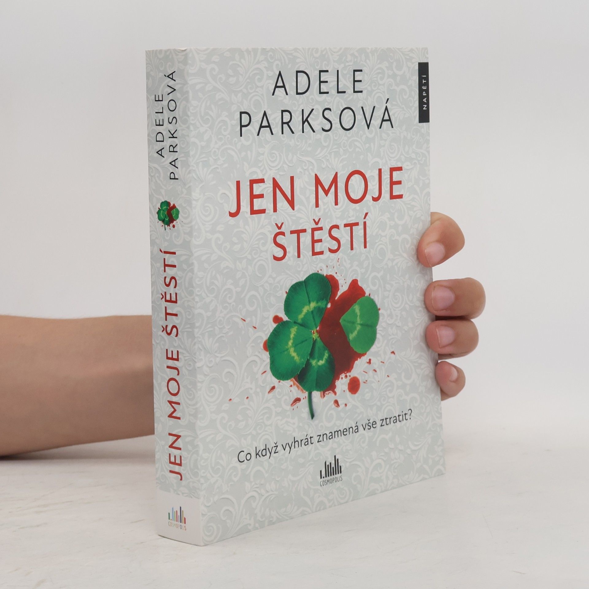 Adele Parks Jen moje štěstí