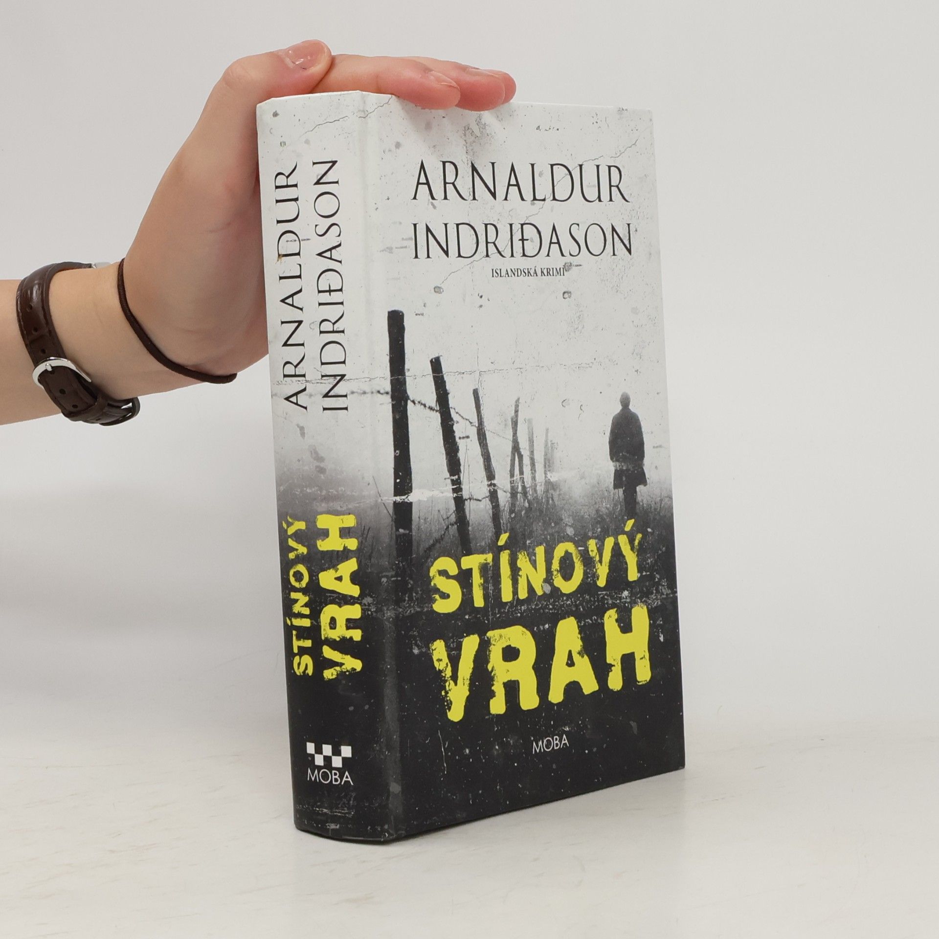 Arnaldur Indriðason Stínový vrah