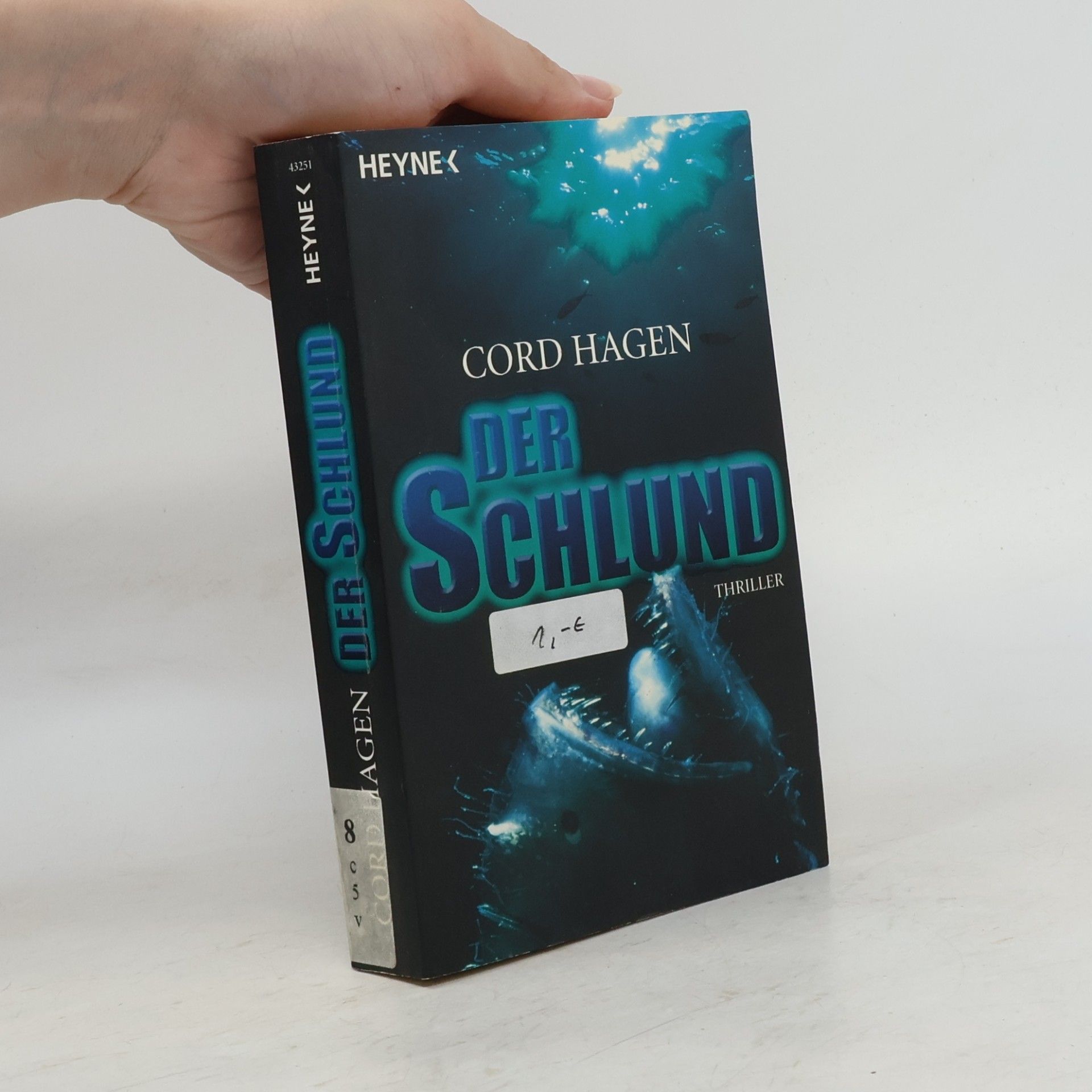 Cord Hagen Der Schlund