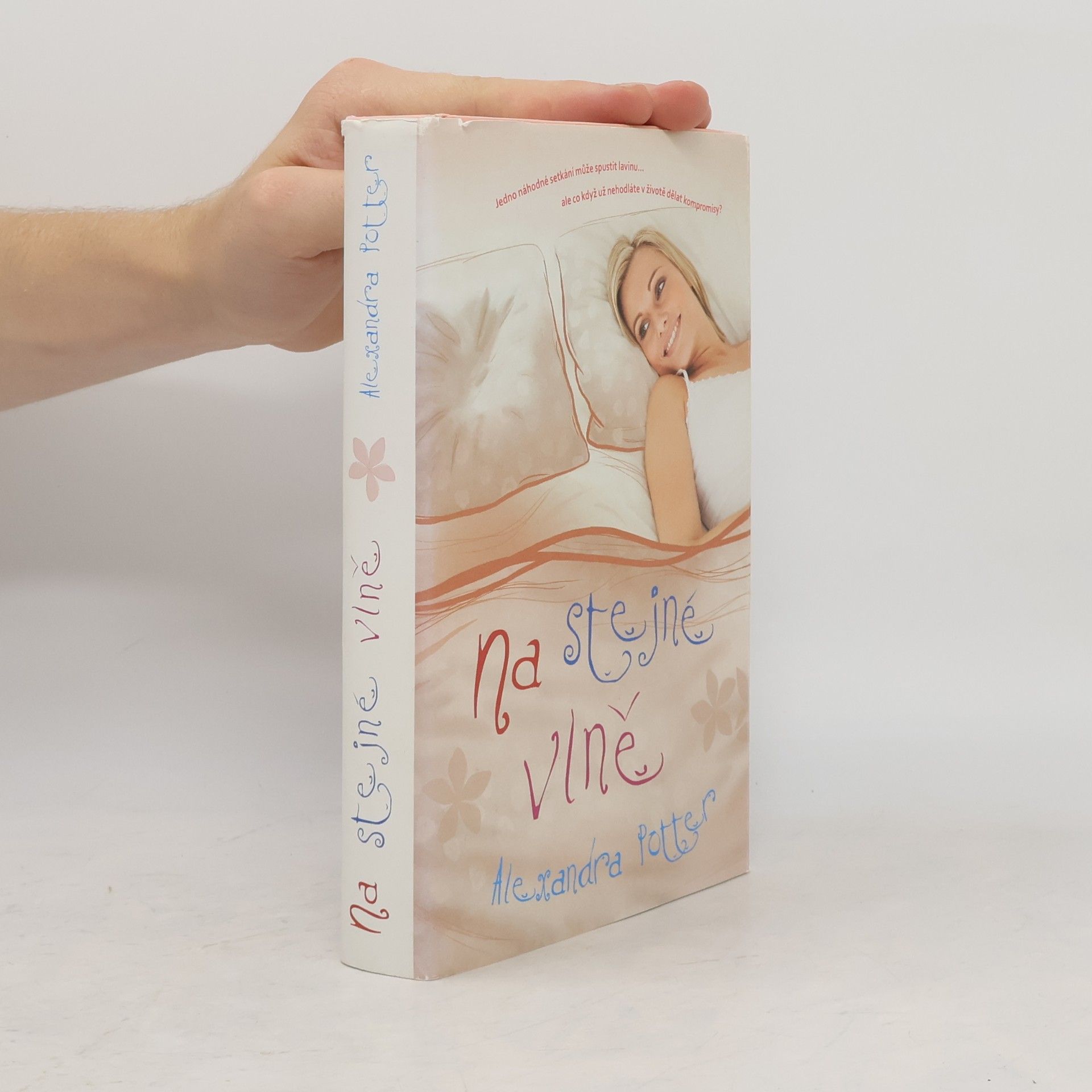 Alexandra Potter Na stejné vlně