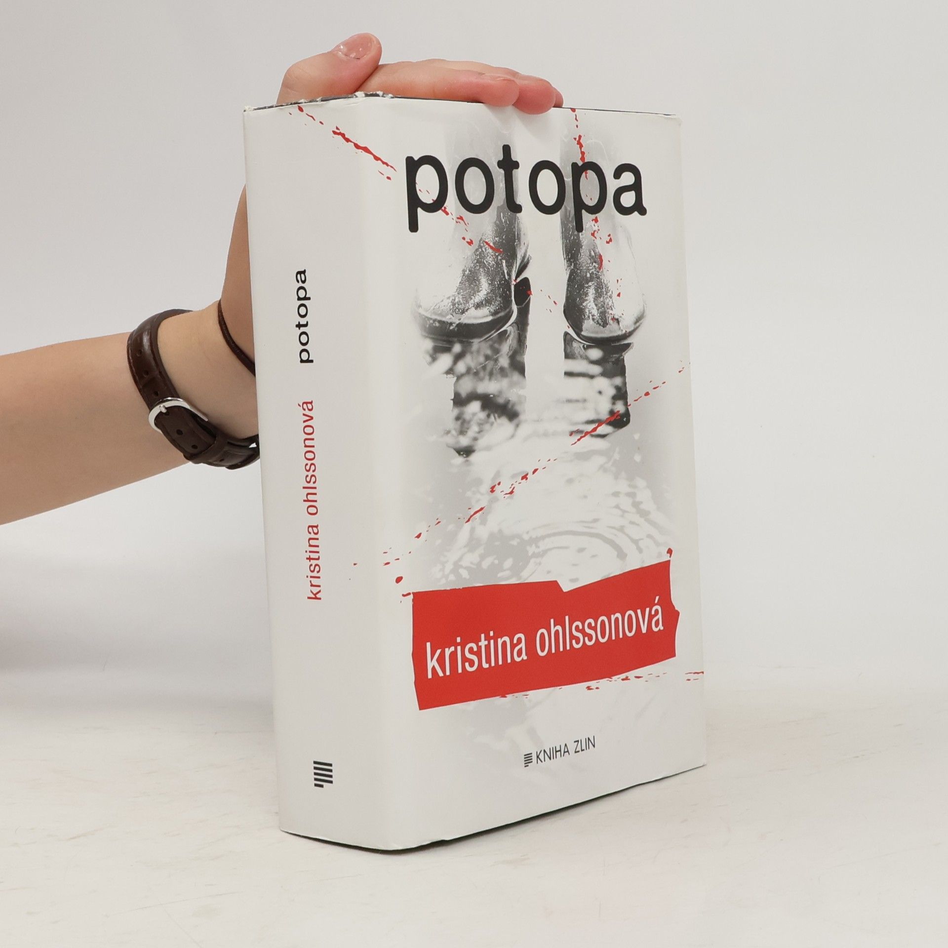 Kristina Ohlsson Potopa